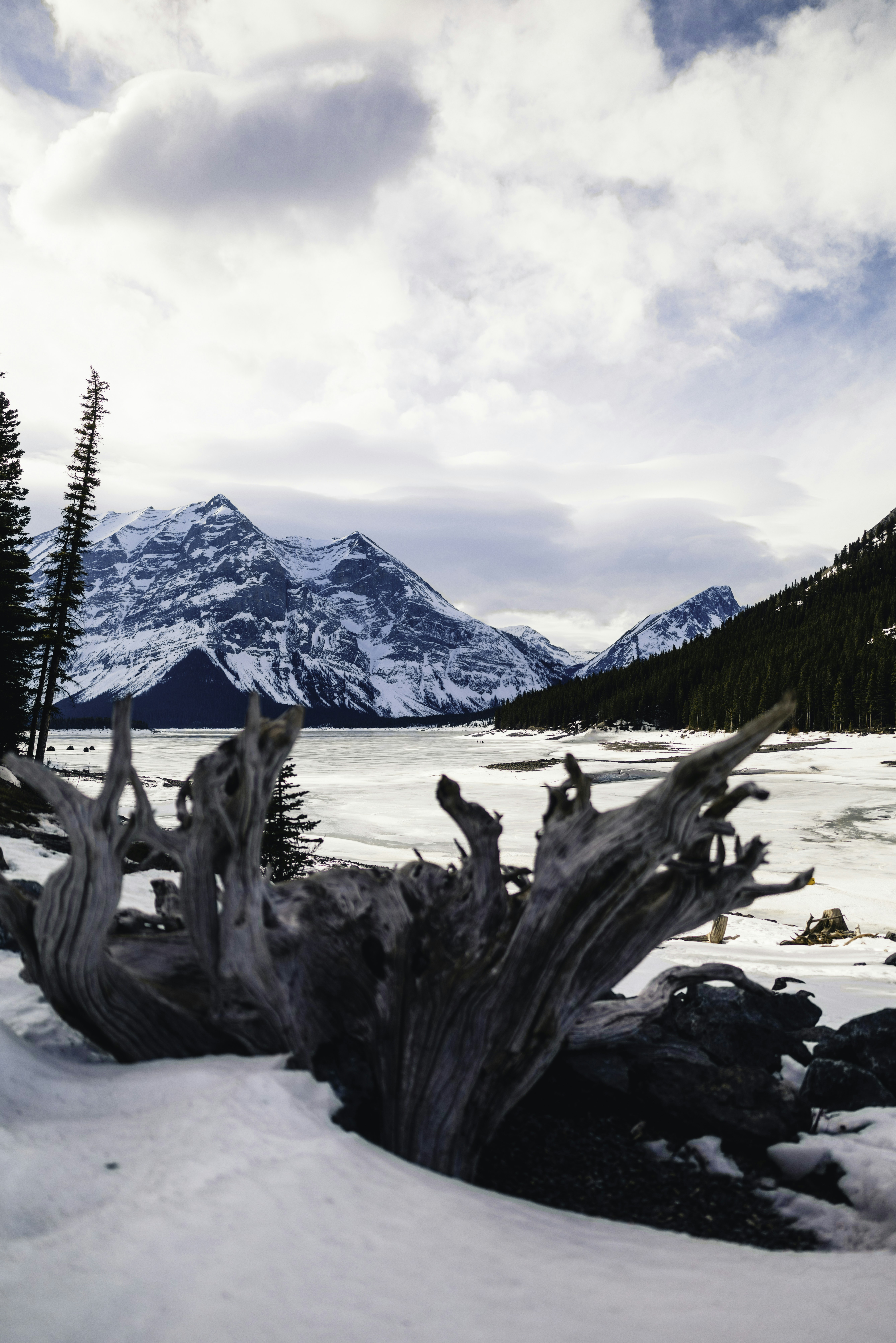 Photo by lureofadventure