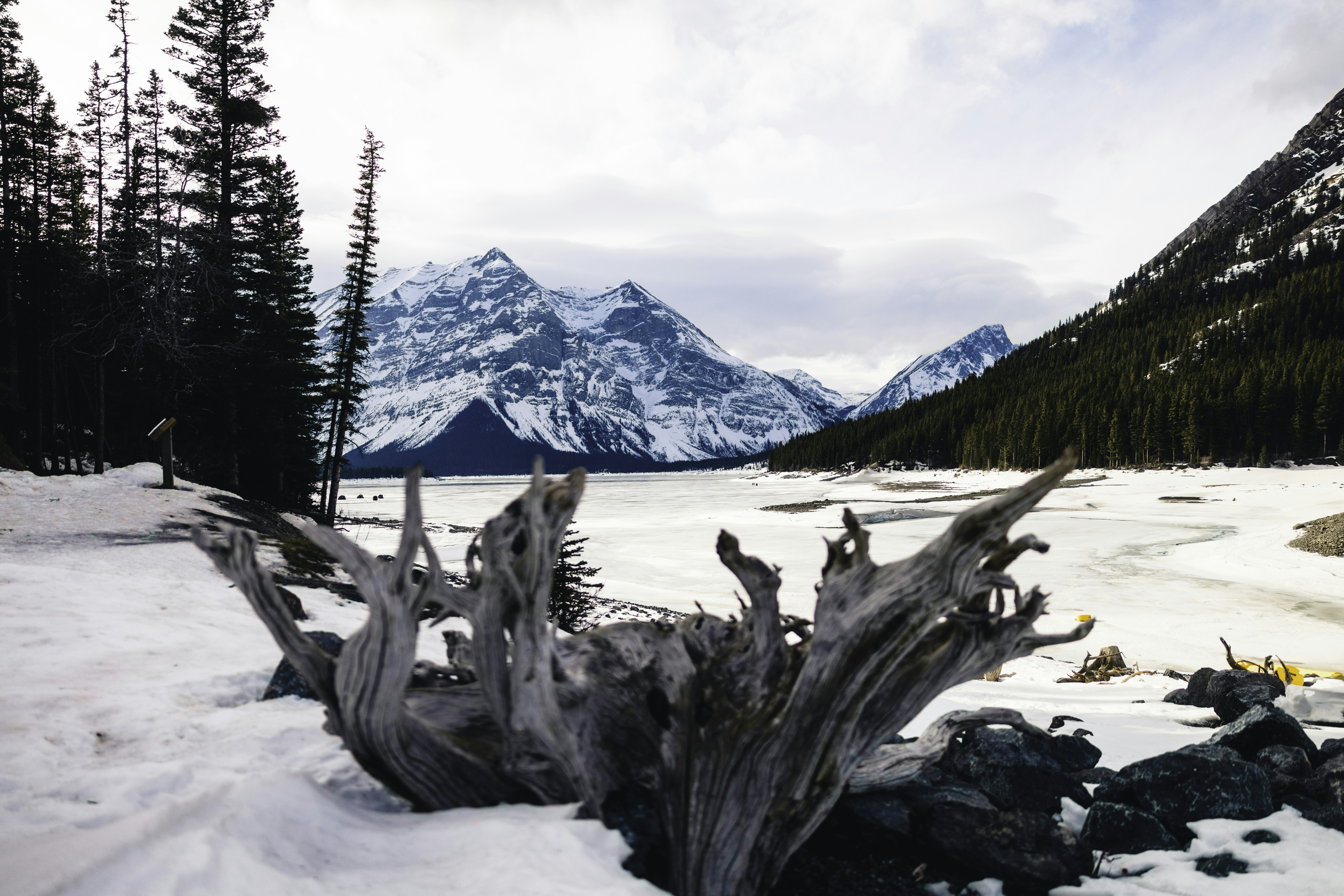 Photo by lureofadventure