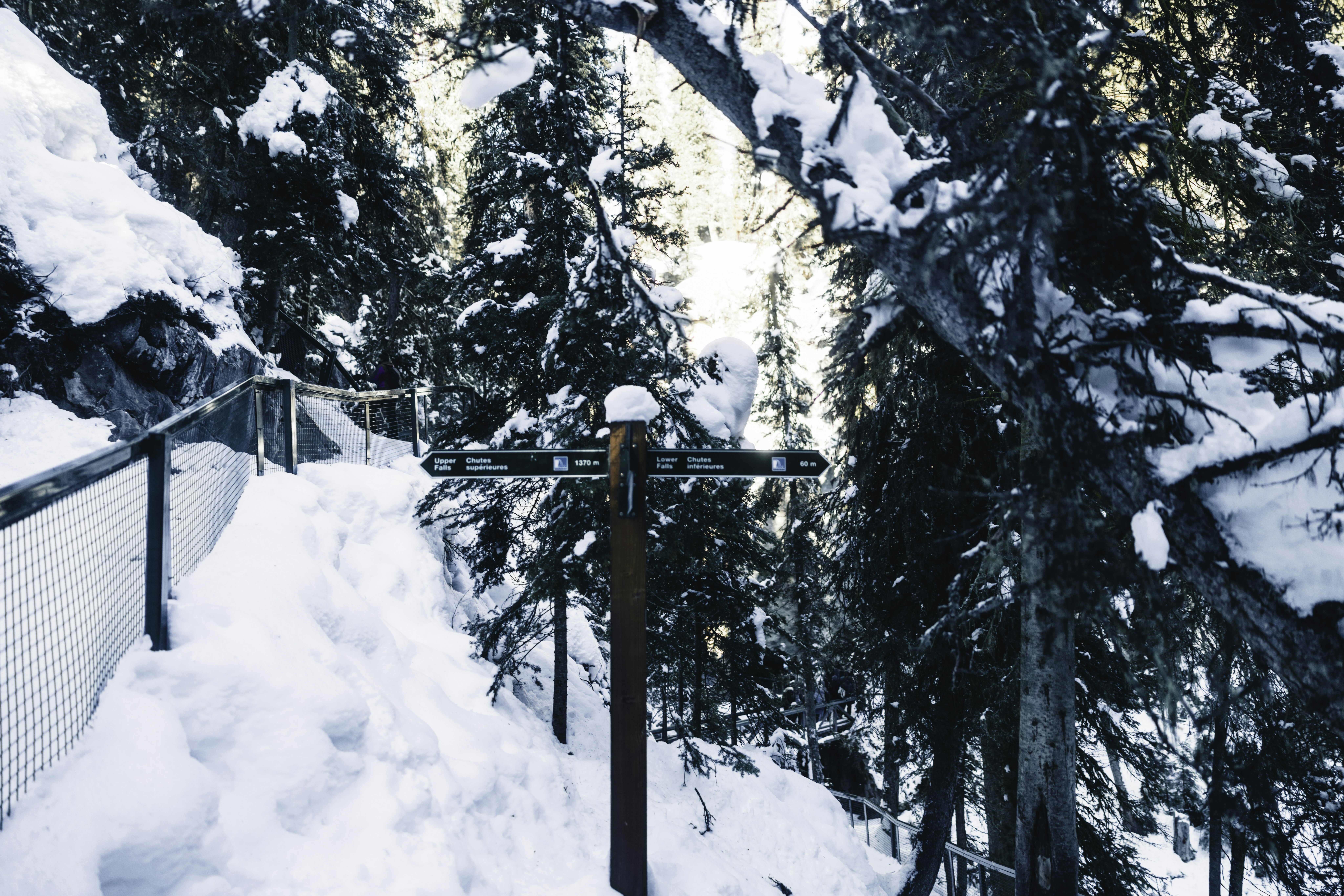 Snowy forest path with a directional signpost.