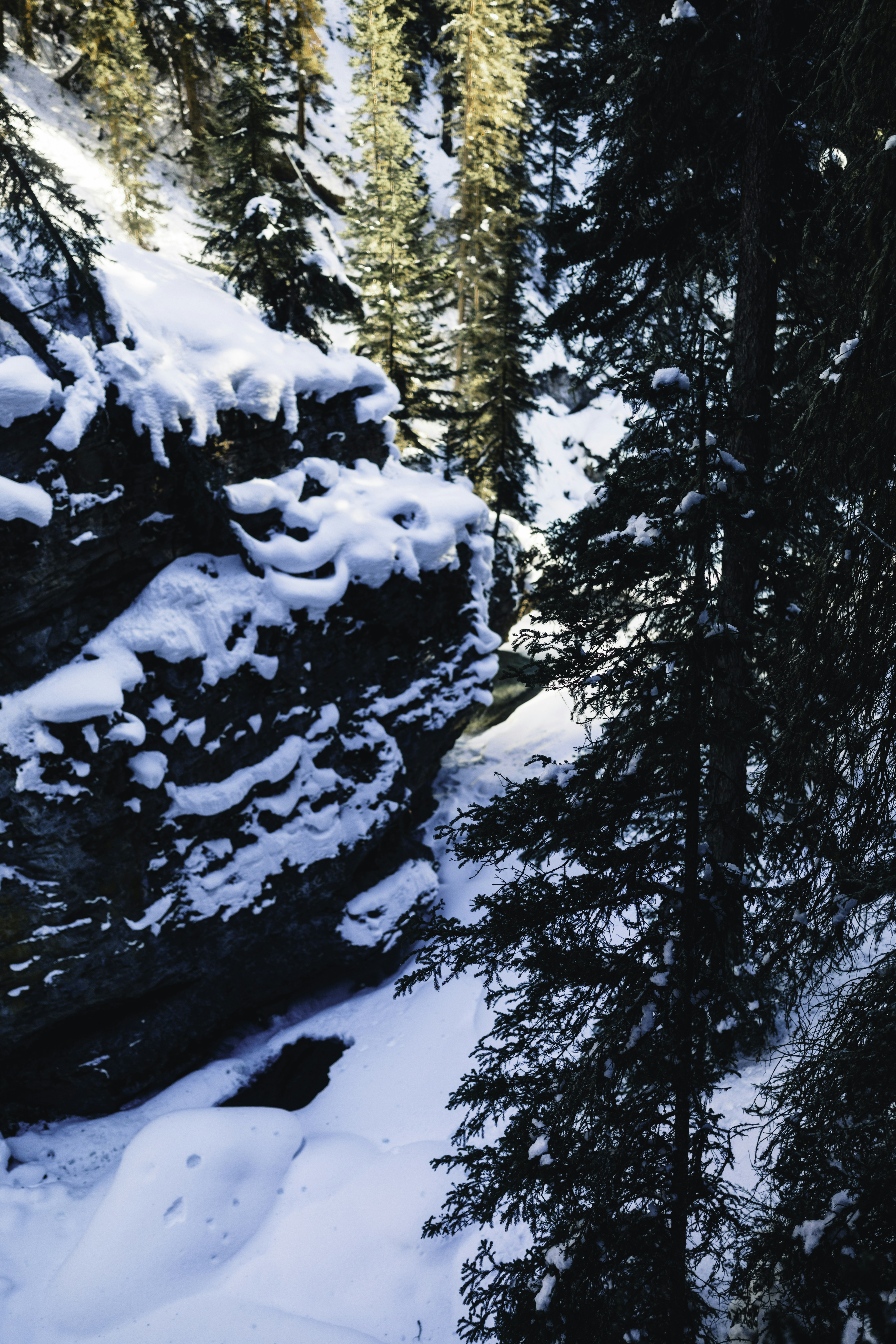 Photo by lureofadventure