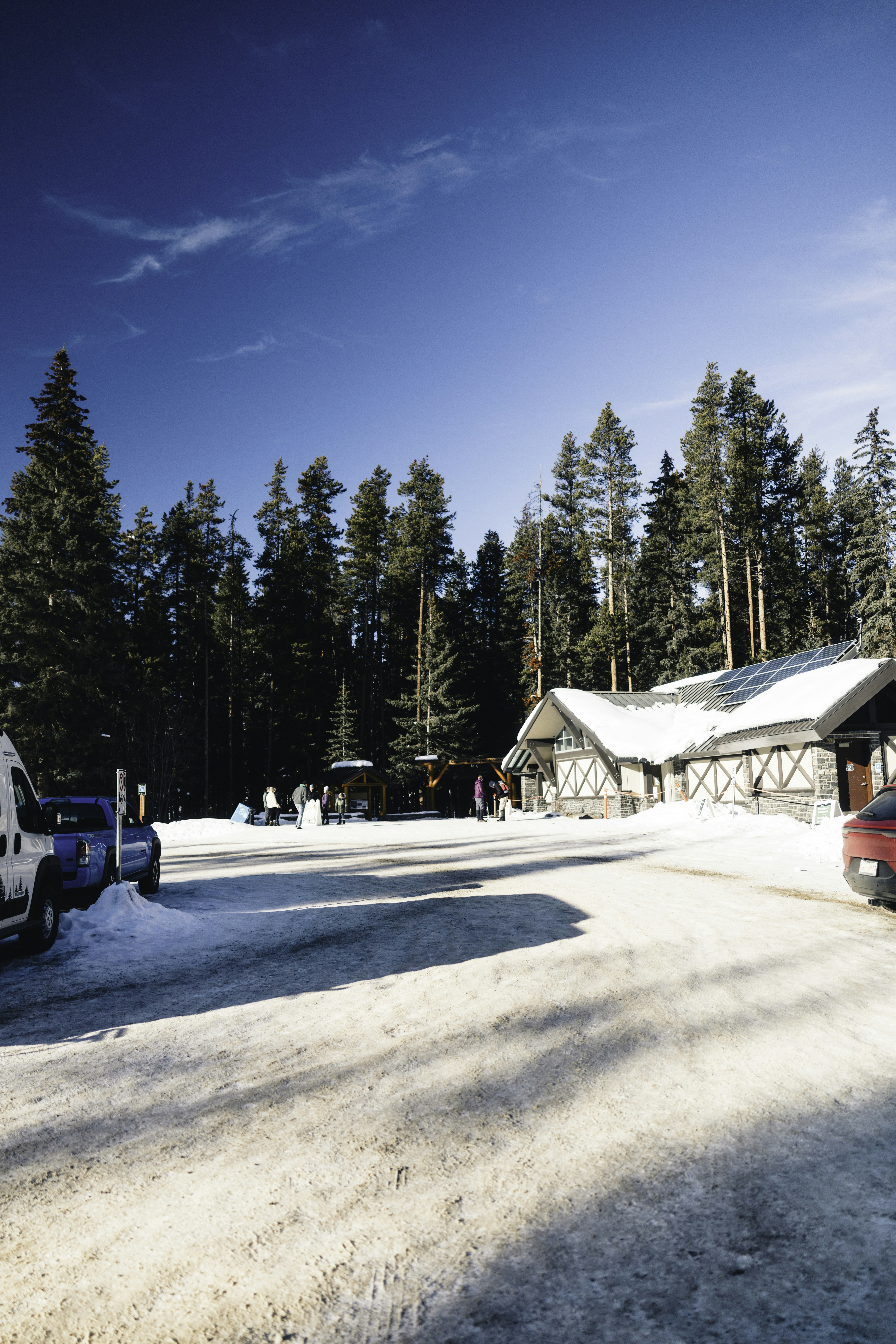 Snowy parking lot with building and trees
