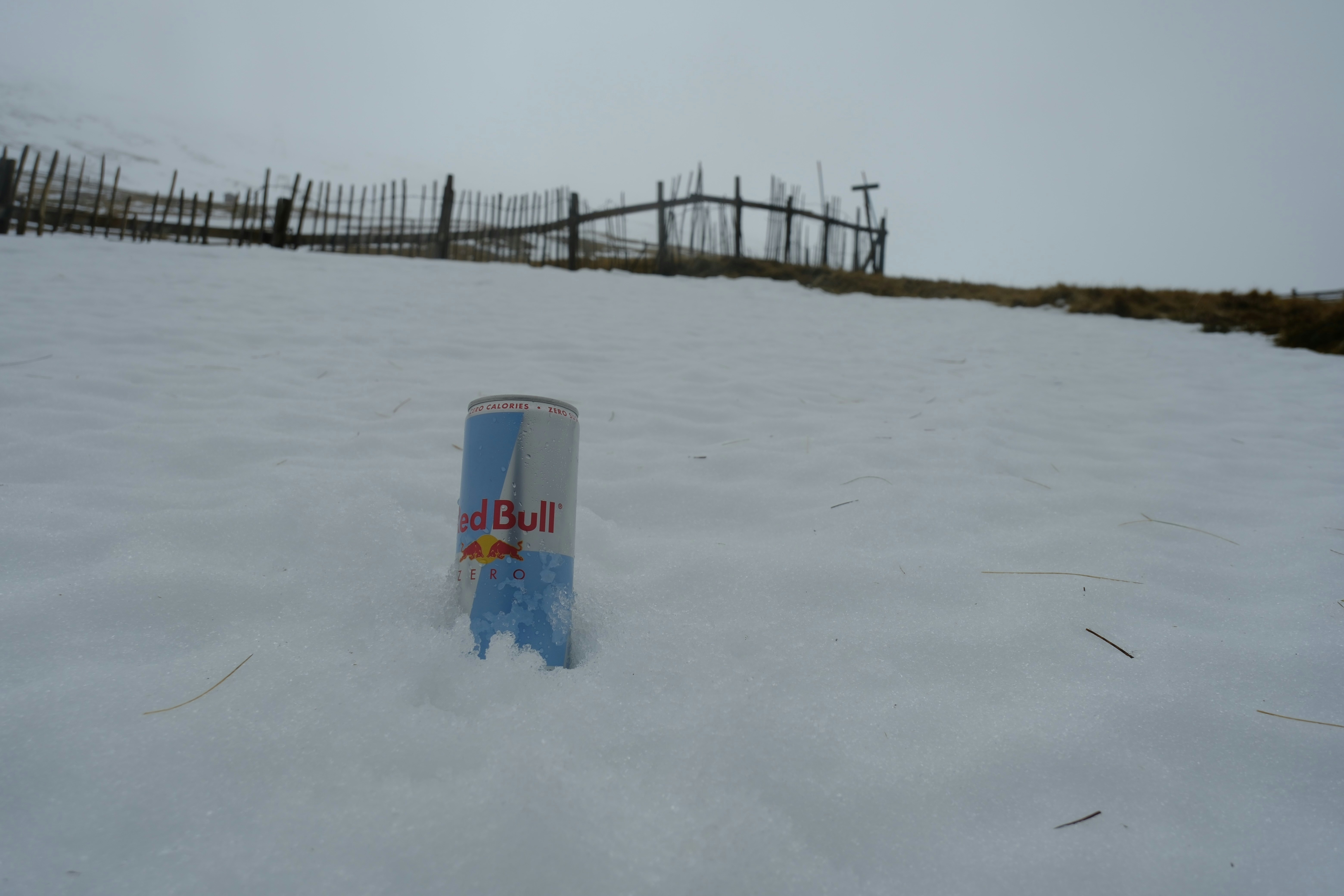 Practical Takeaways: Can Turmeric Replace Traditional Cleanses?