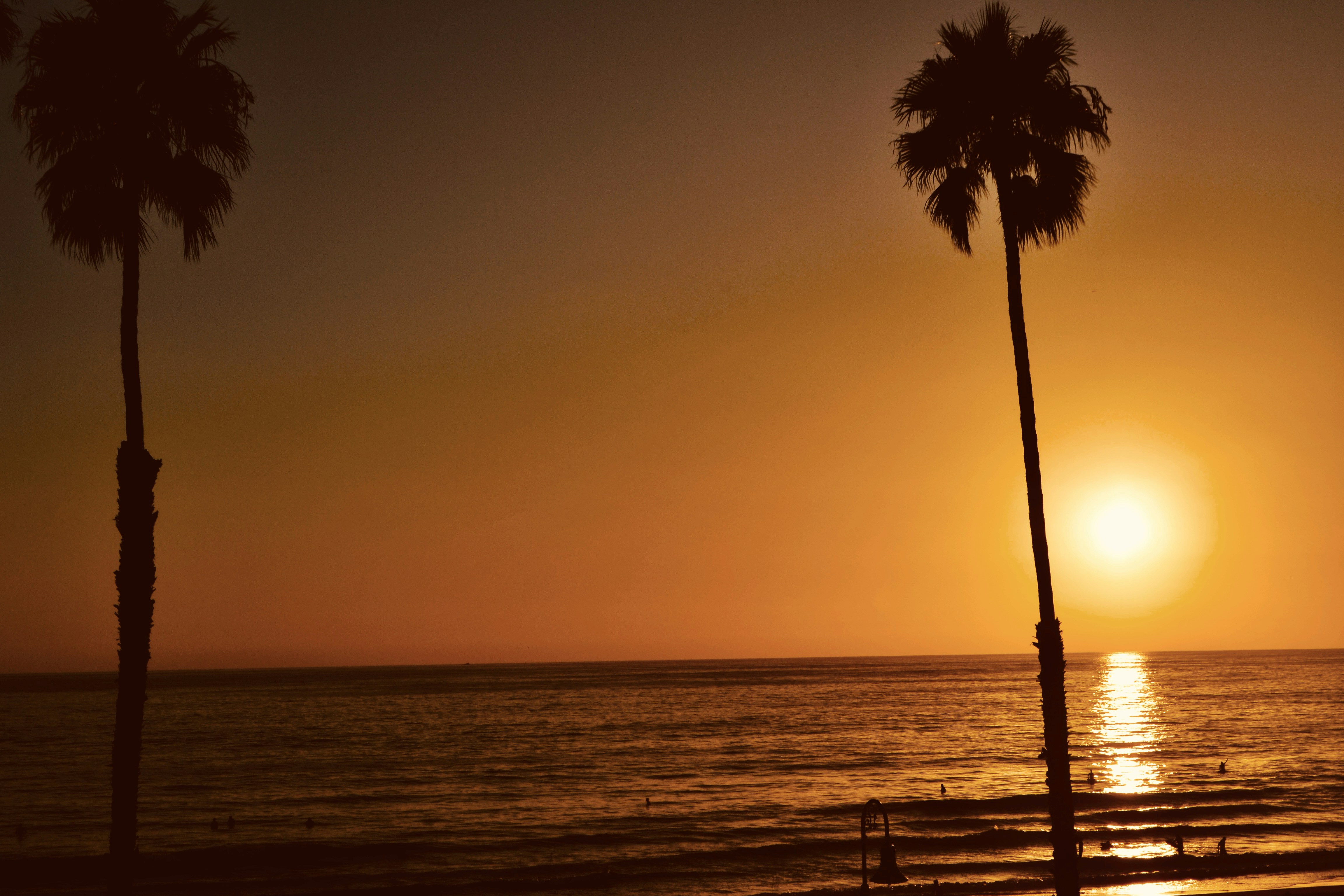 Photo by punkrockhippy_