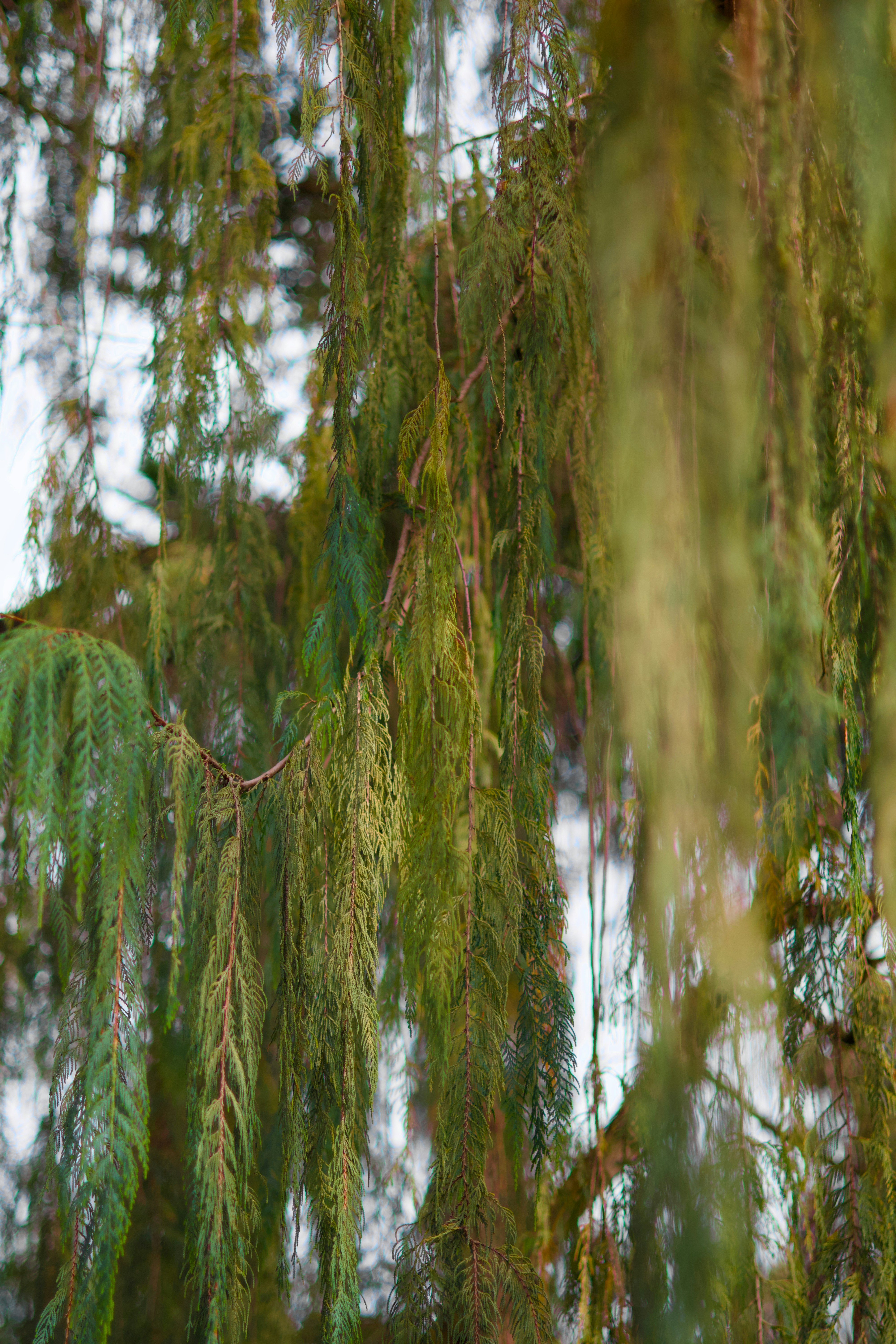 Photo by sarguninder