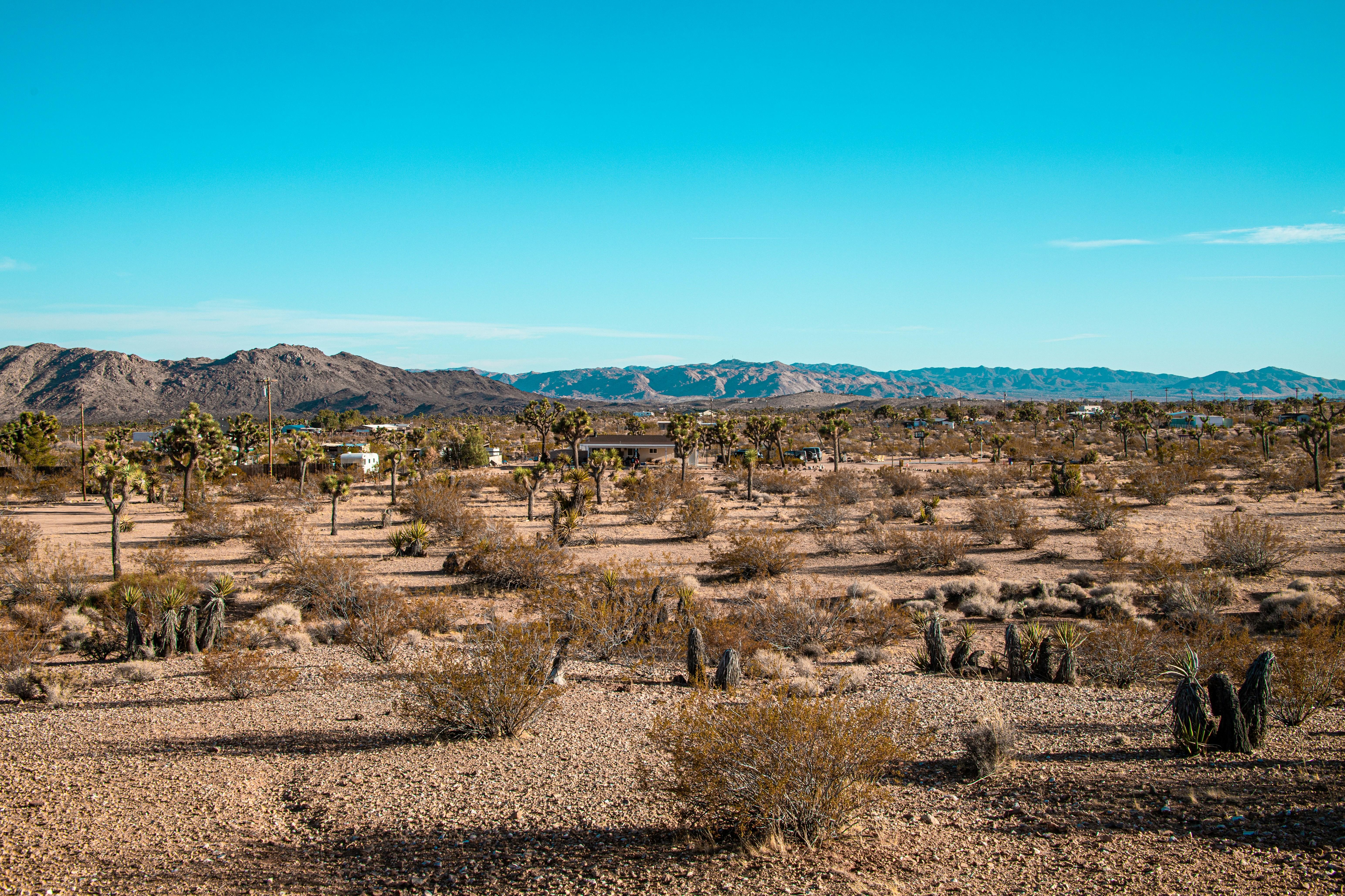 Ground Truth: What Barrancos' Unmarked Burial Sites Are Teaching America About Who Gets Remembered