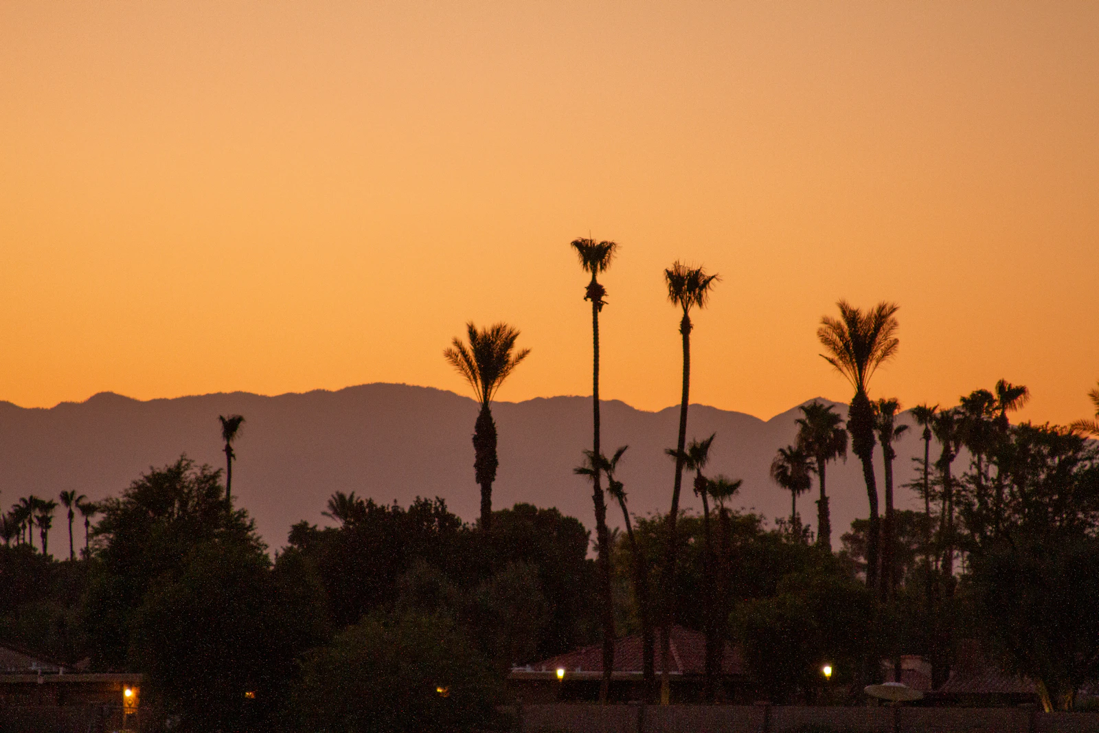Palm Springs mountains and palm trees for family hiking itinerary Clear photo from Unsplash