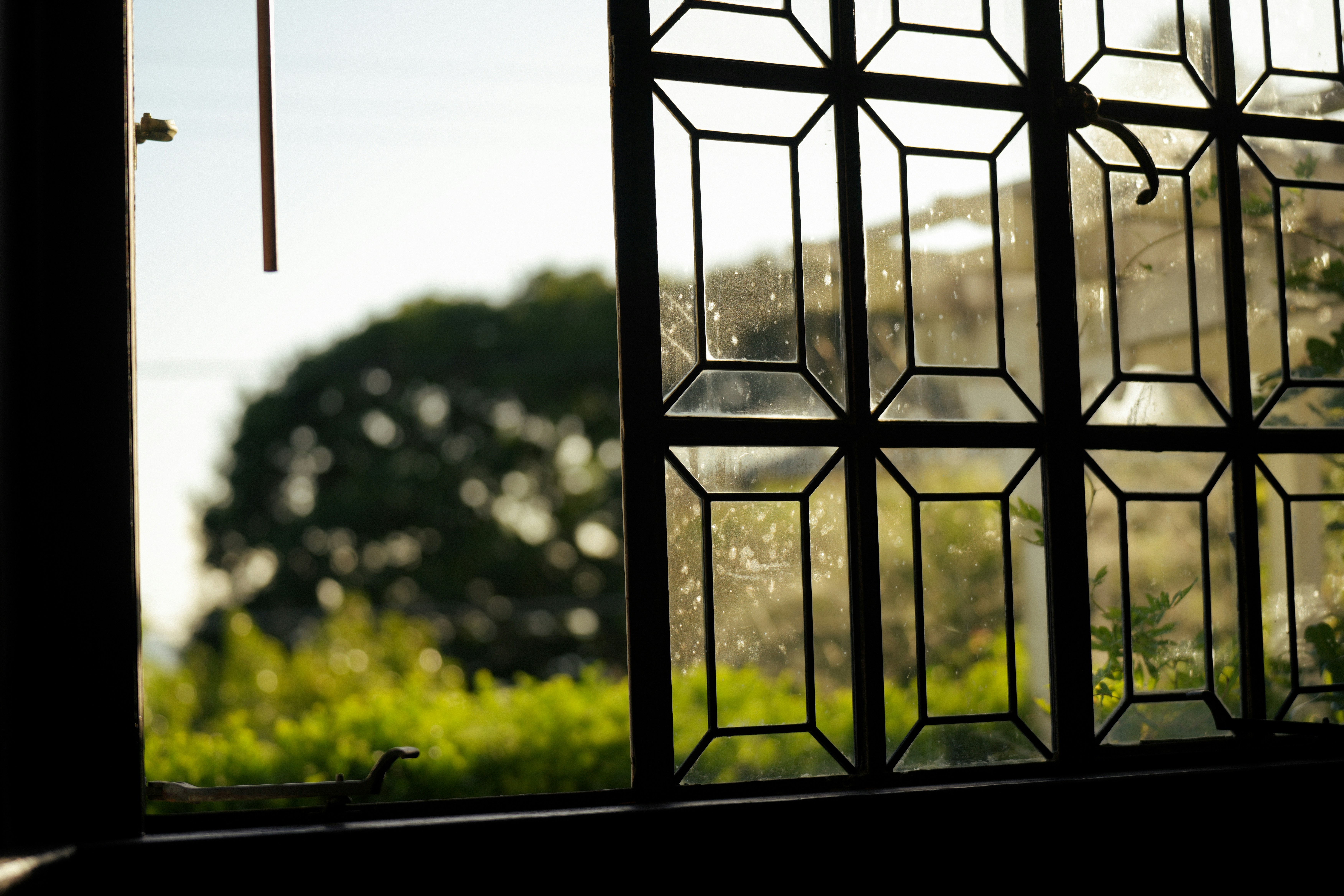 Photo by _carolineattwood