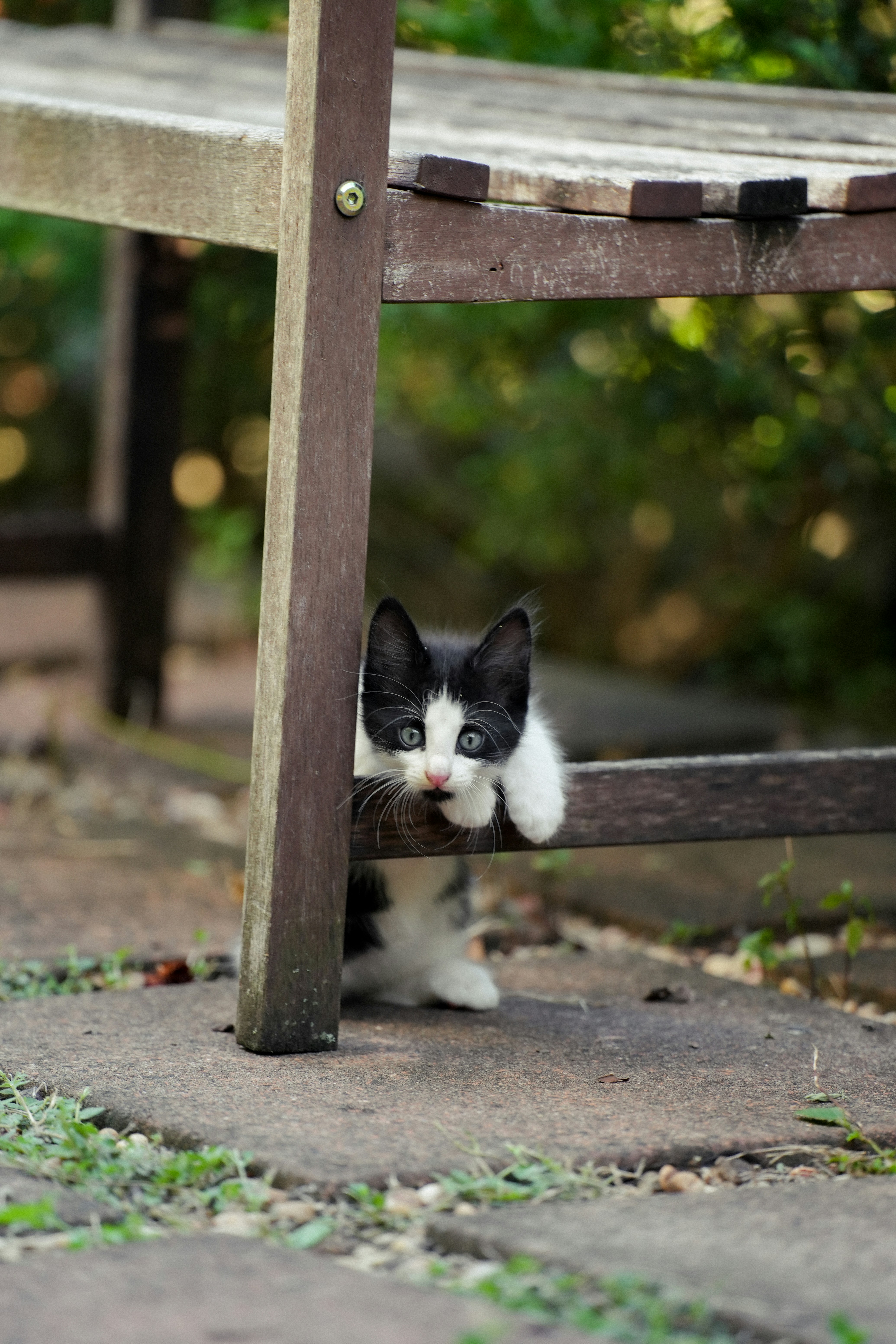 Photo by _carolineattwood