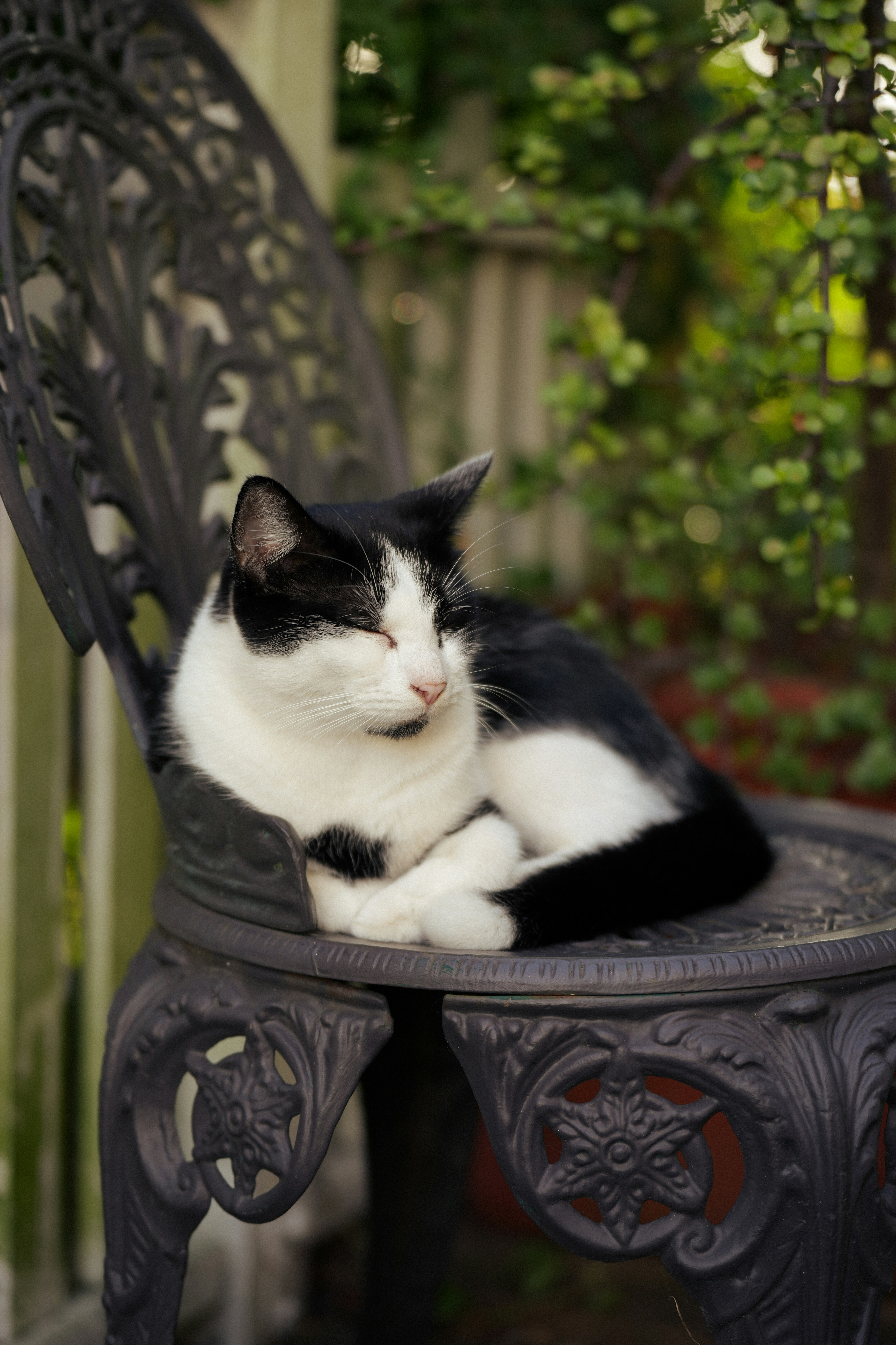 Photo by _carolineattwood