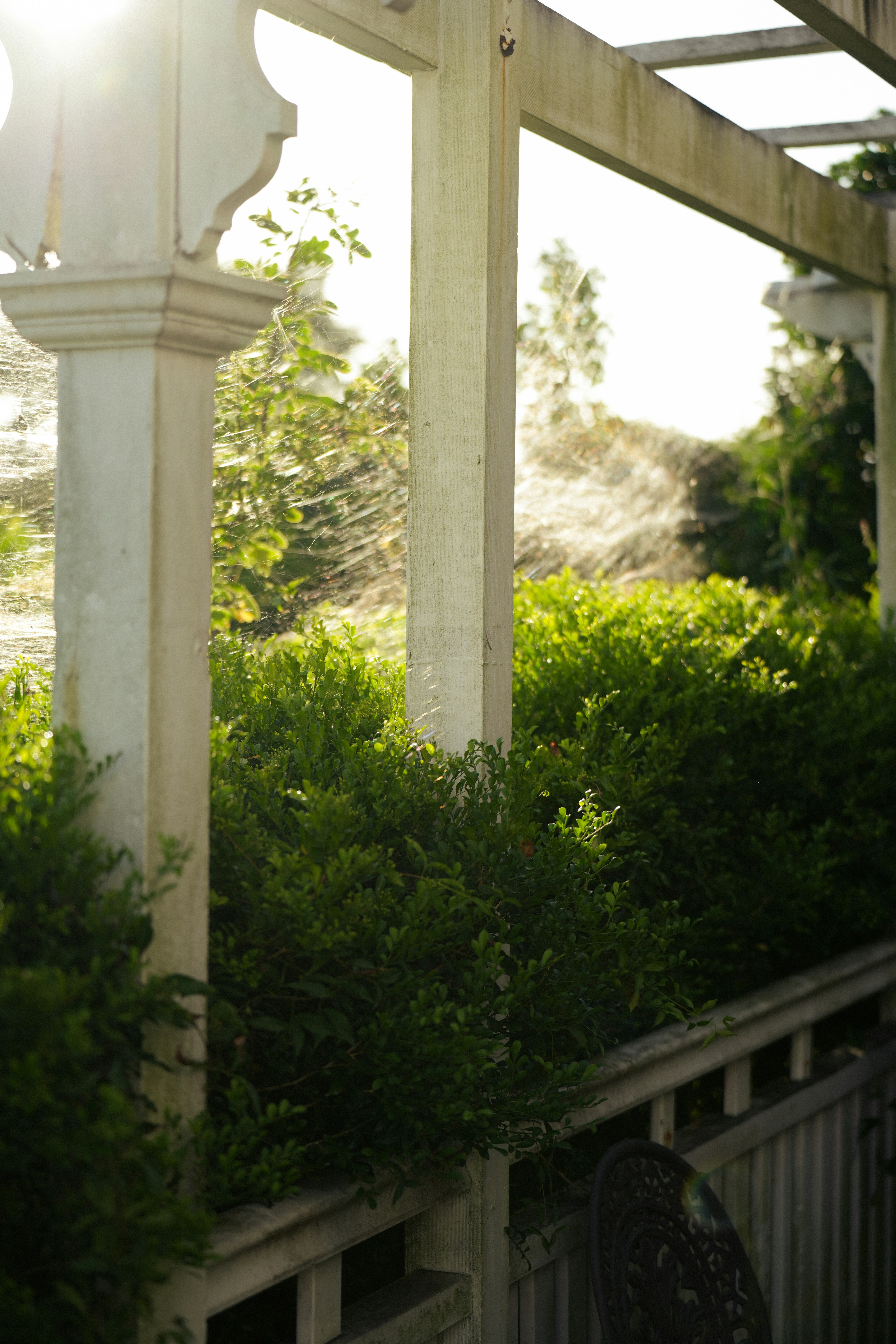 Photo by _carolineattwood