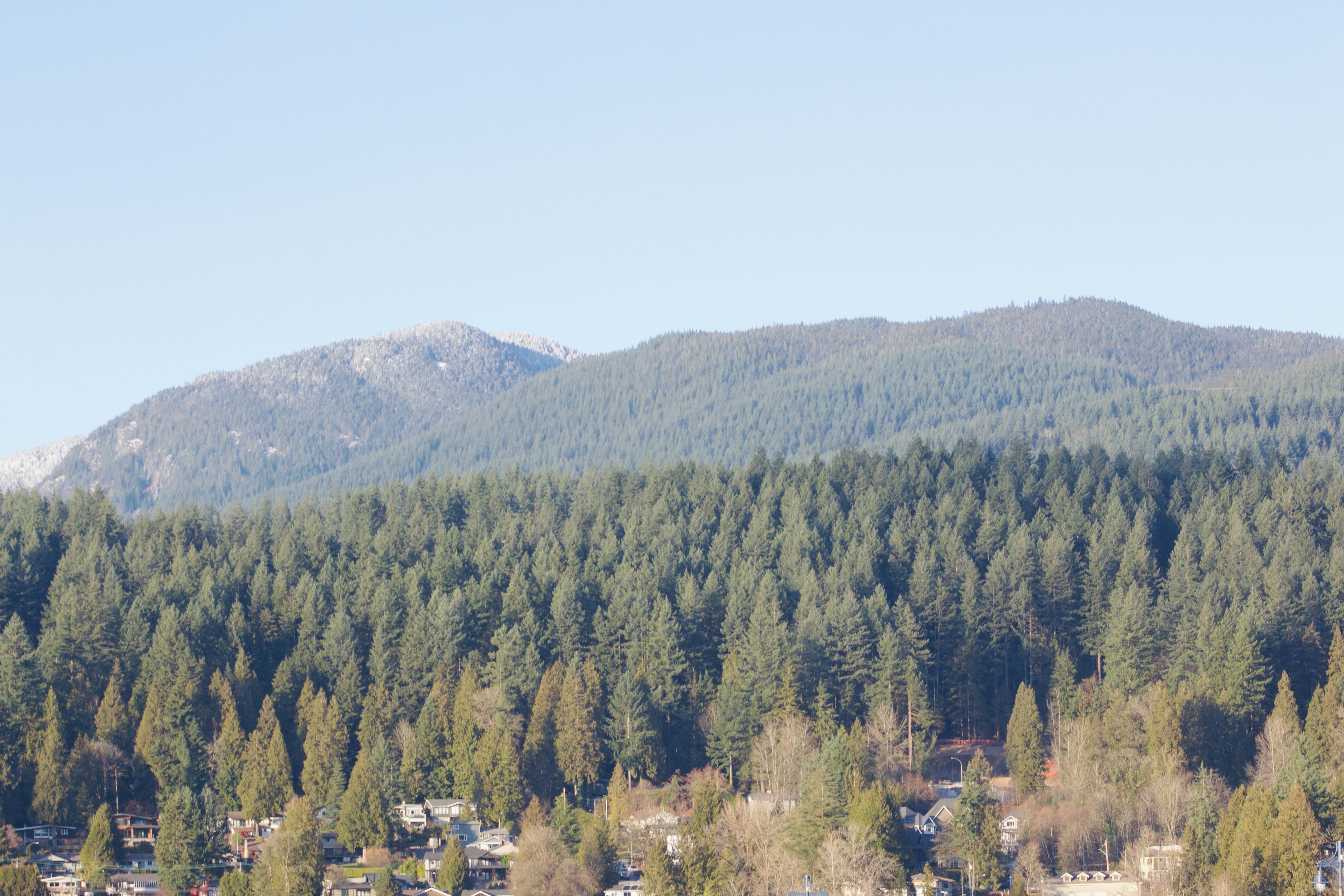 Photo by williamdmytrow