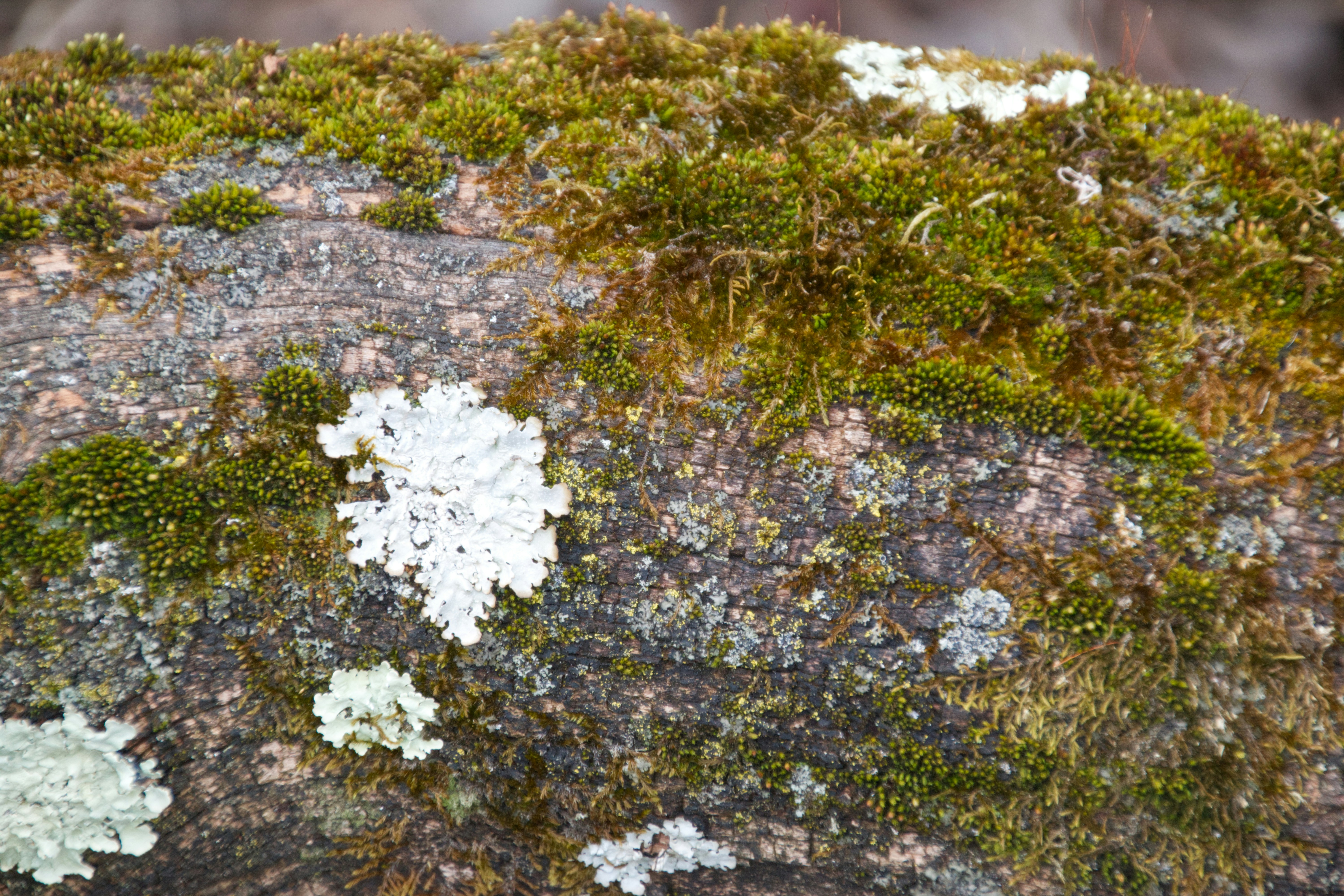 Photo by emi_frances