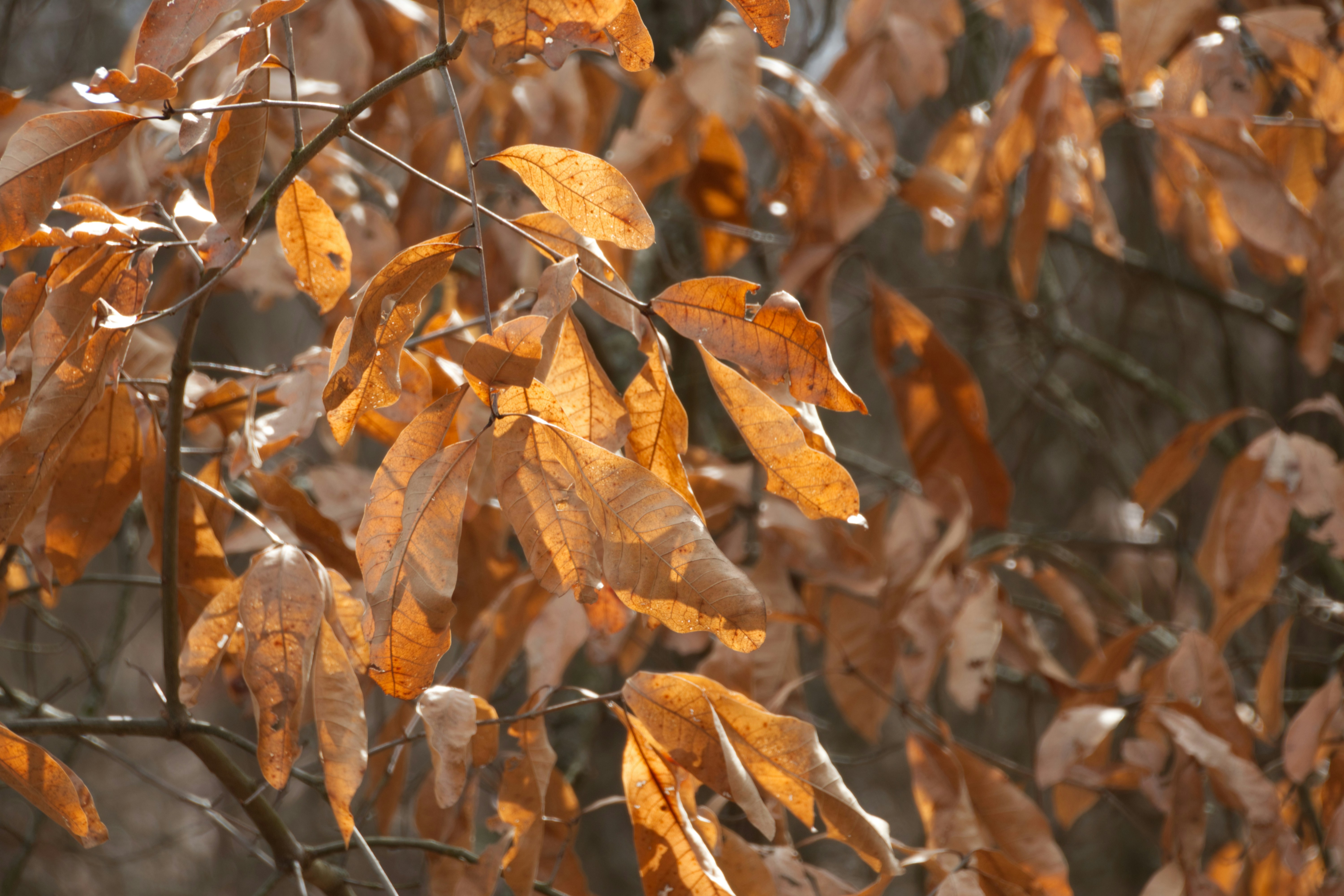 Photo by emi_frances