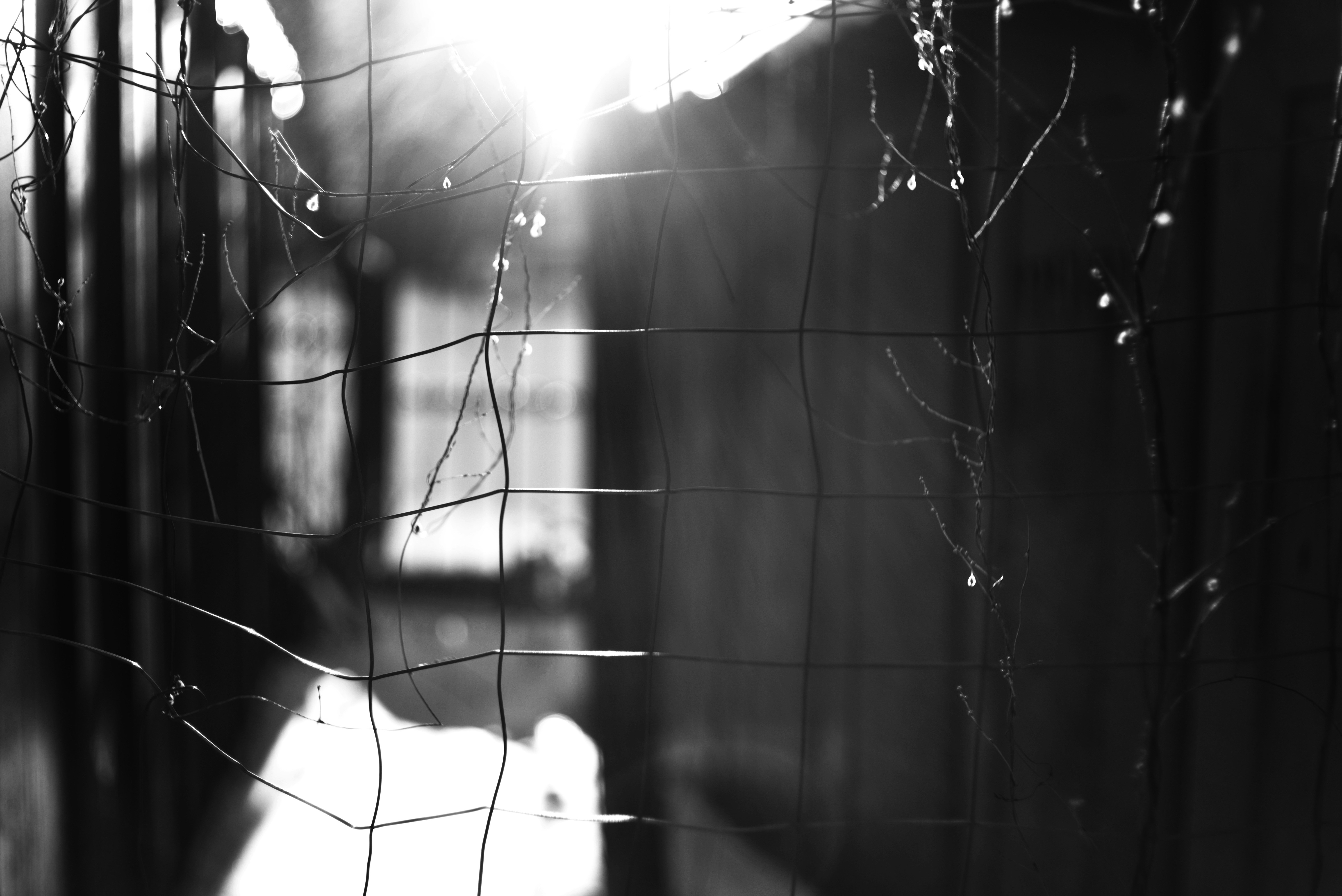 Photo by cherstve_pechivo