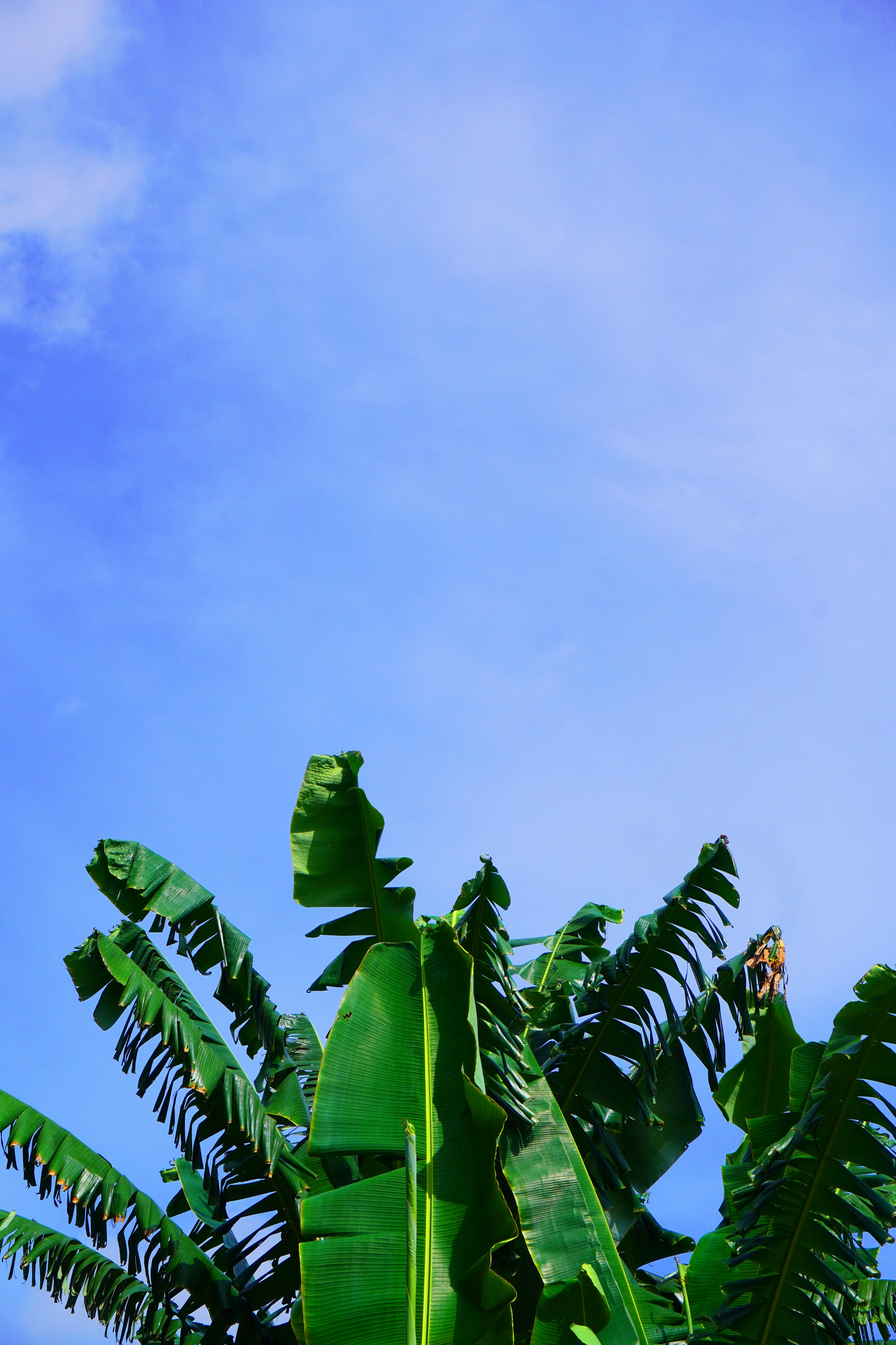 Photo by abrahamnoah