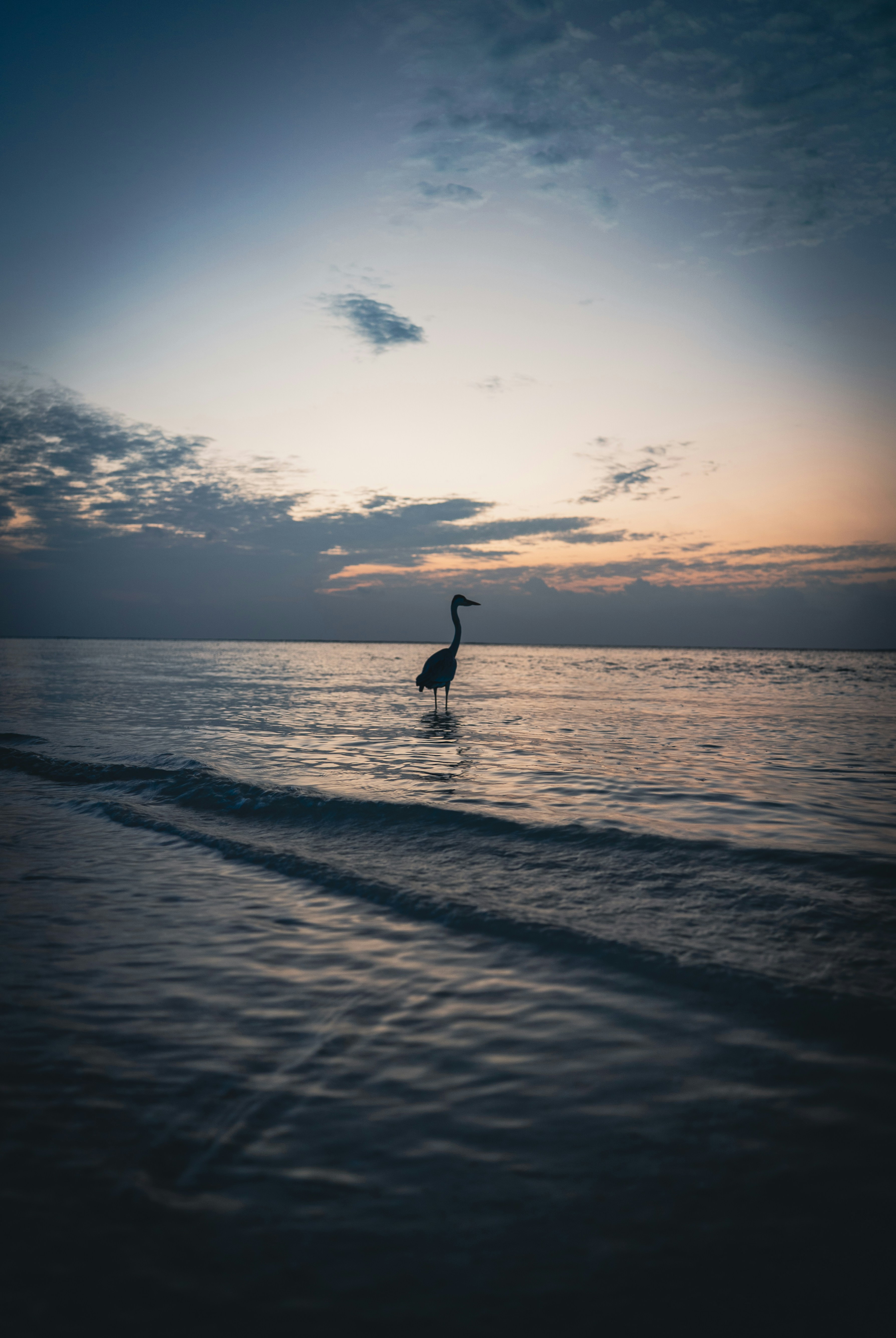 Photo by danielsphotograpic