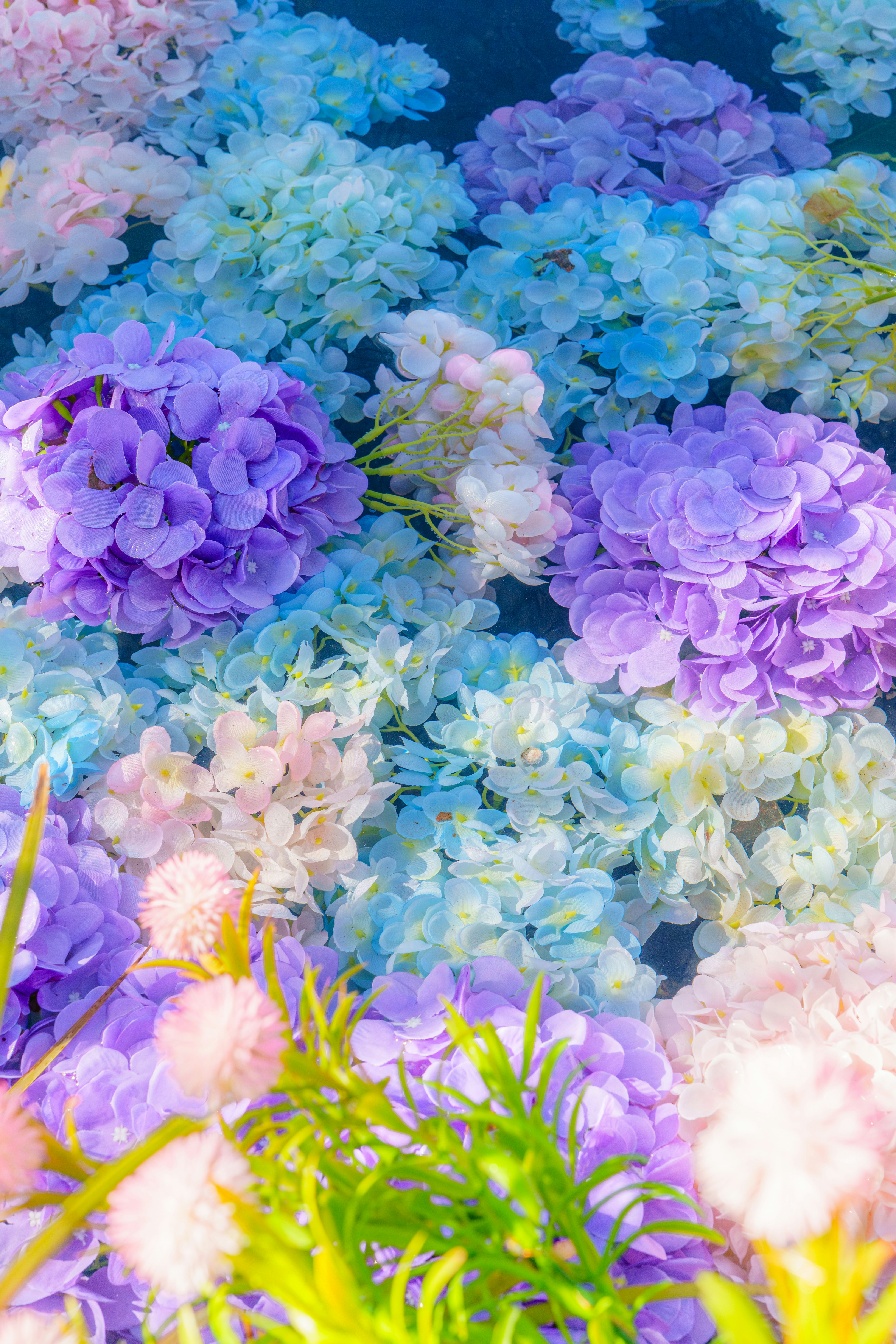 Photo by lightman0215