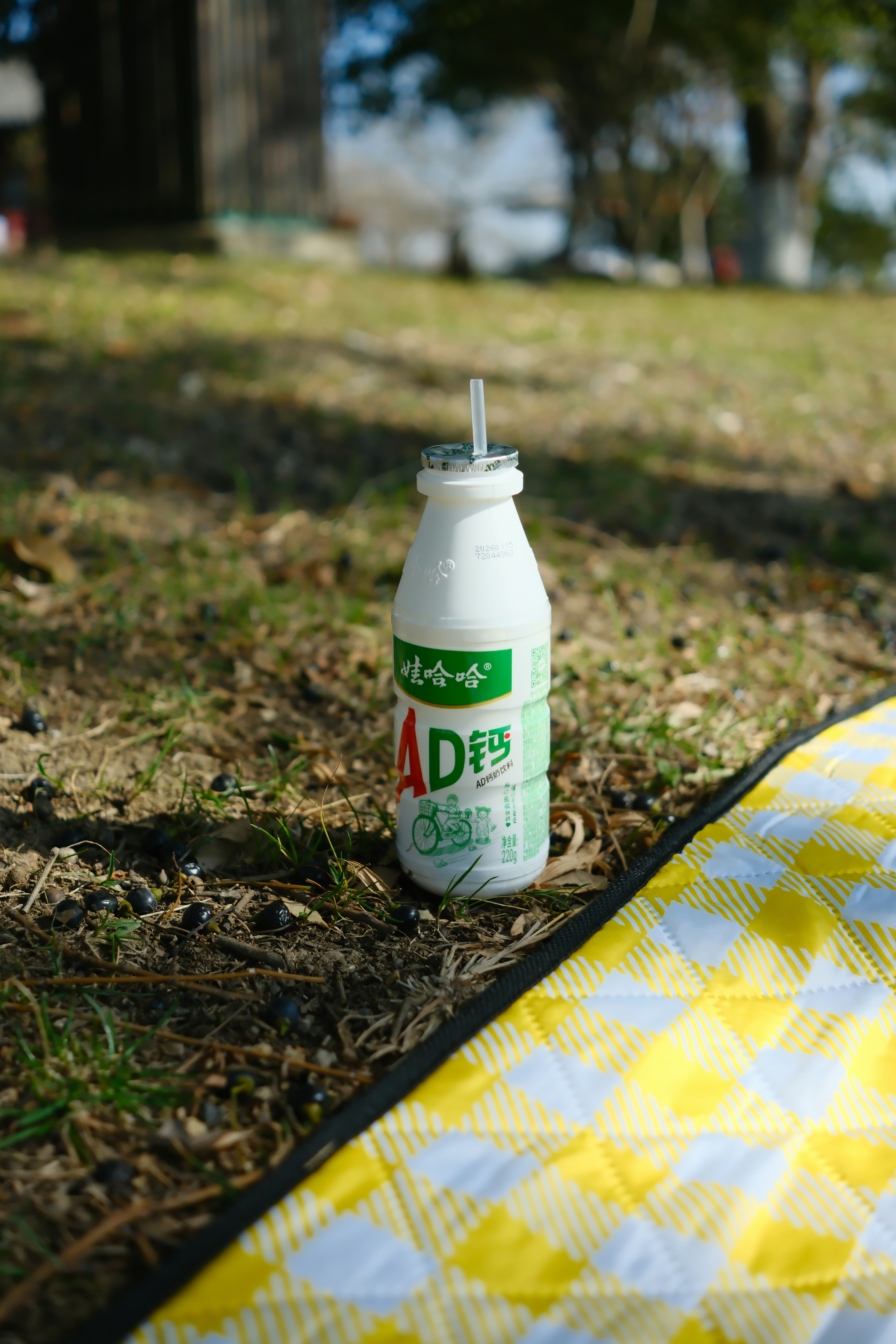 Garrafa de iogurte com canudo em um cobertor de piquenique