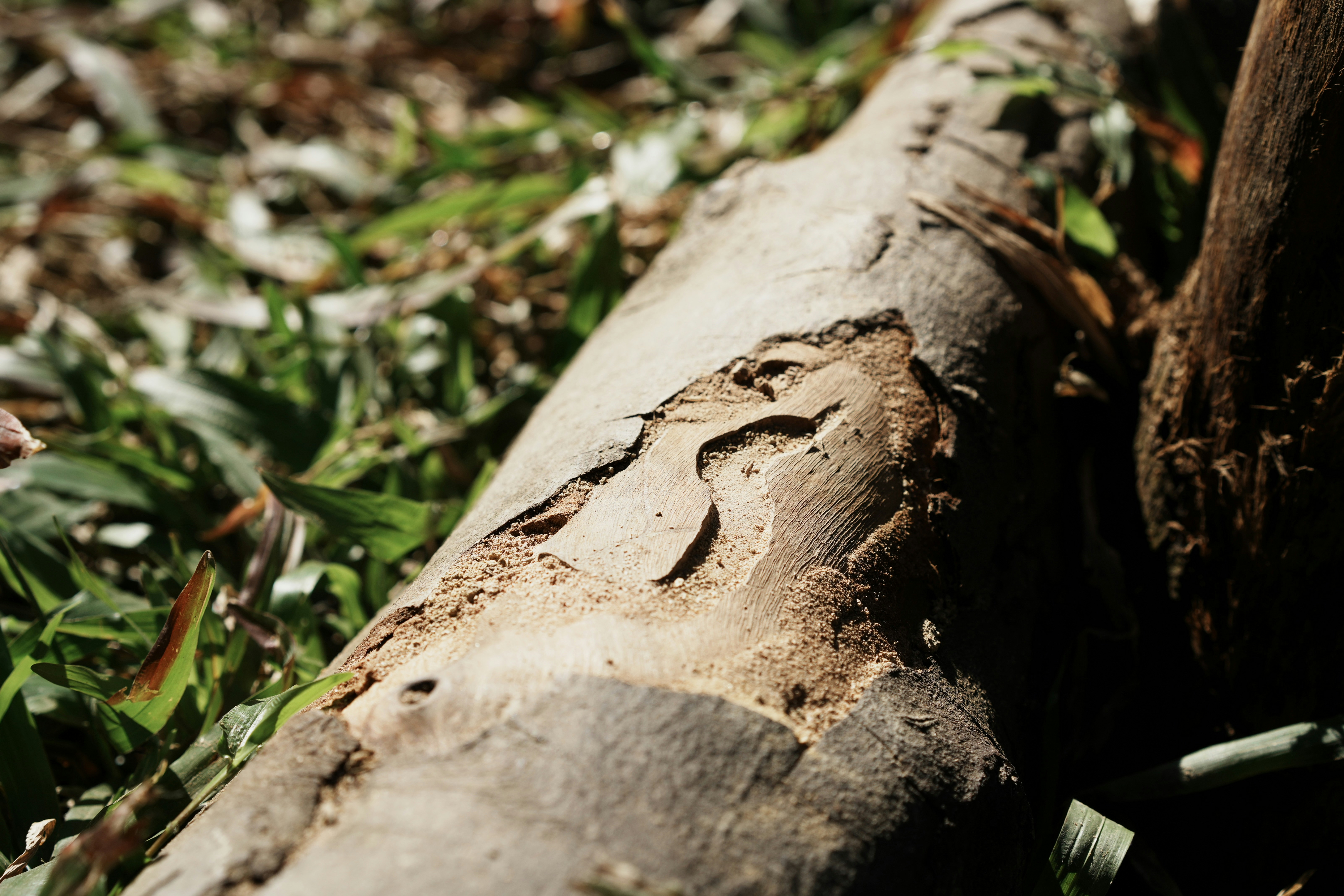 Photo by carmen18forever