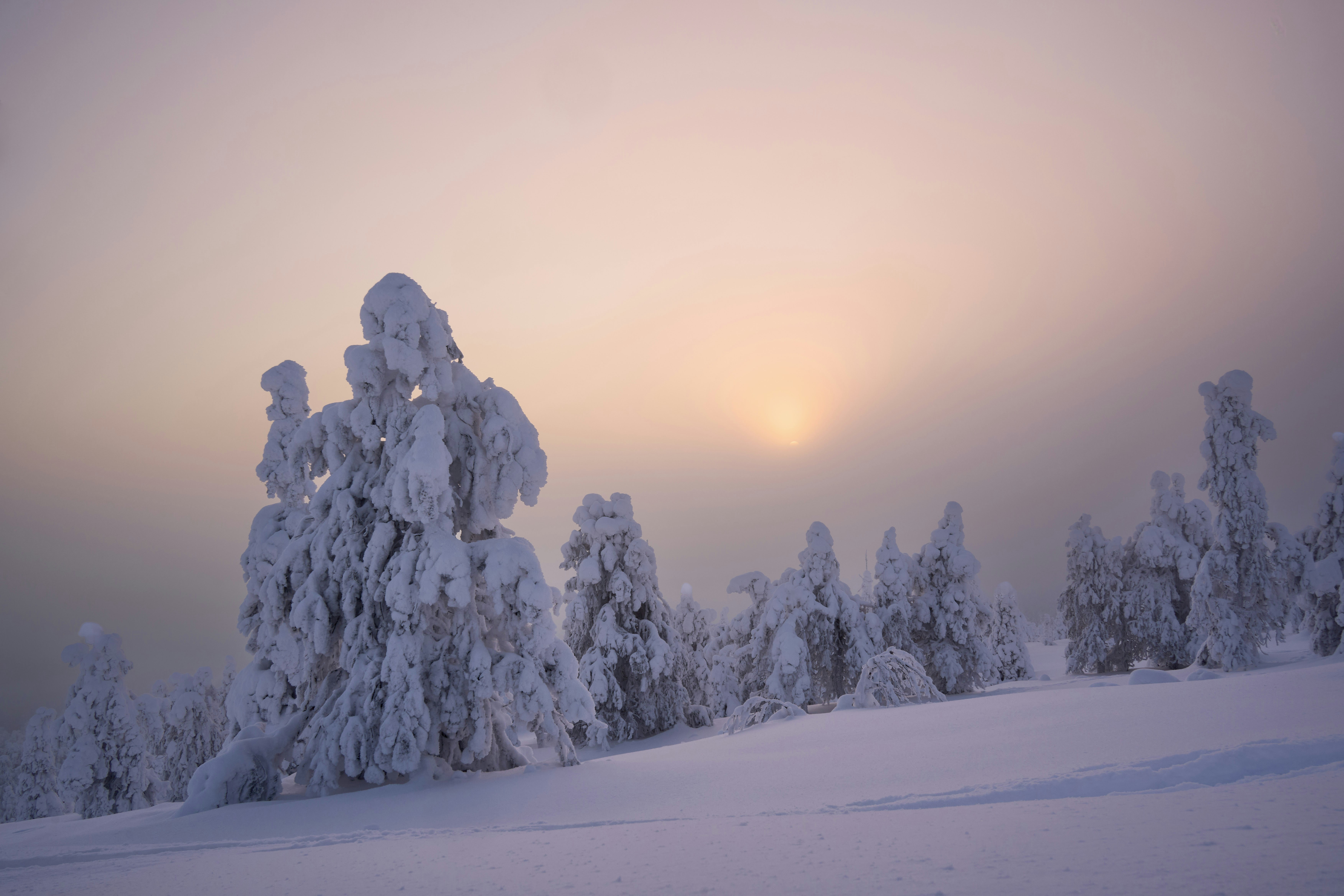 Photo by wolfgang_hasselmann