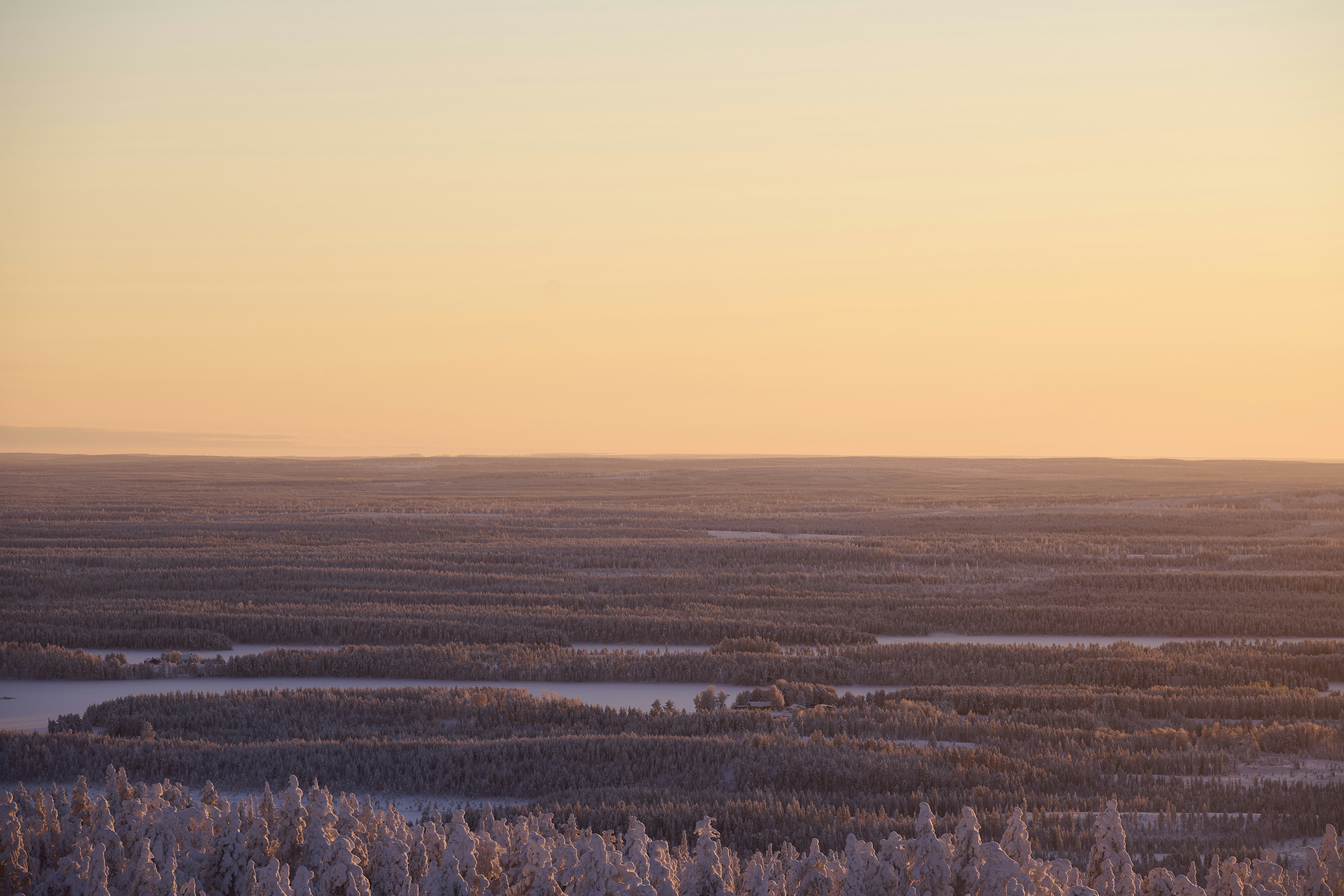 Photo by wolfgang_hasselmann