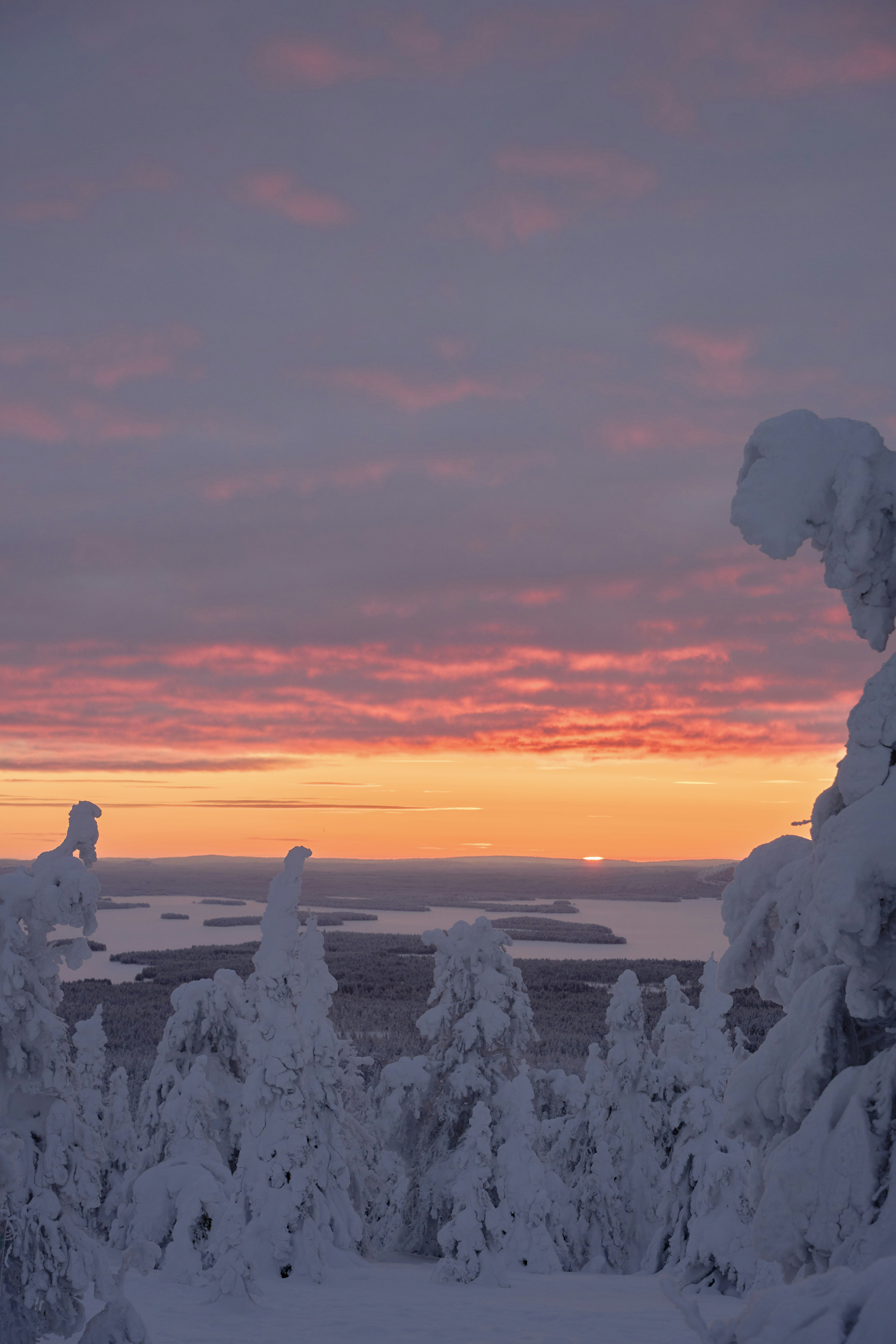 Photo by wolfgang_hasselmann