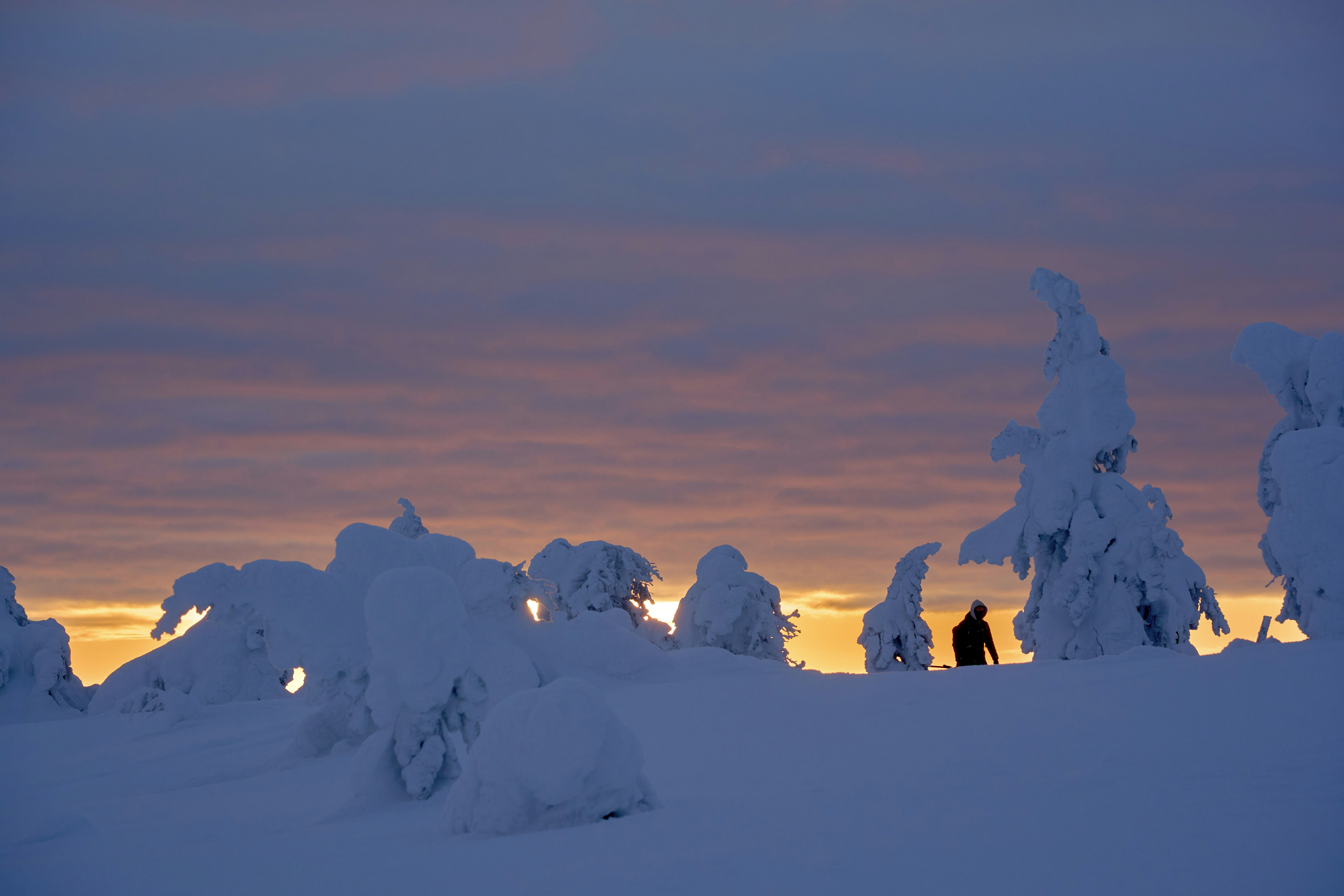 Photo by wolfgang_hasselmann