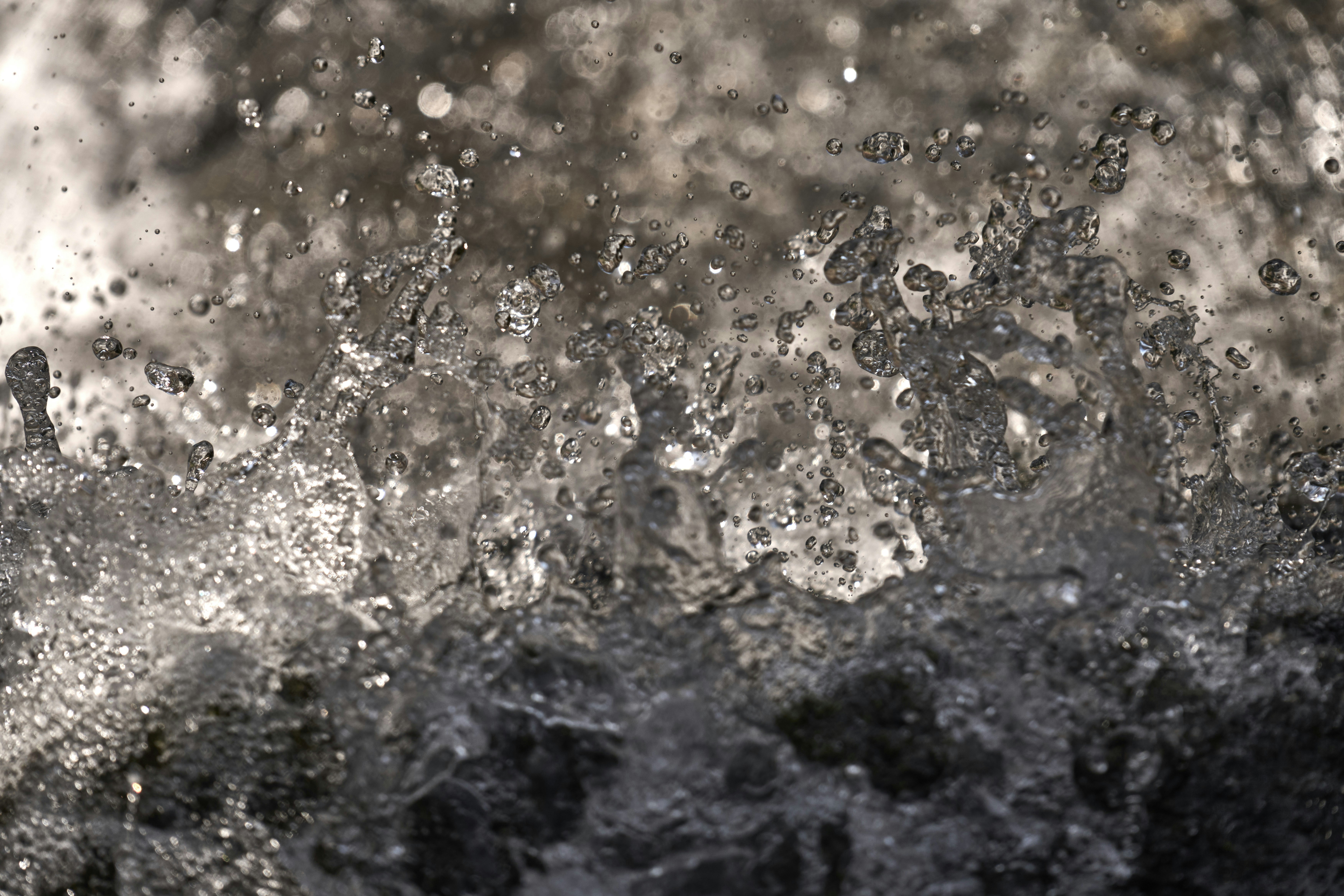 Photo by wolfgang_hasselmann