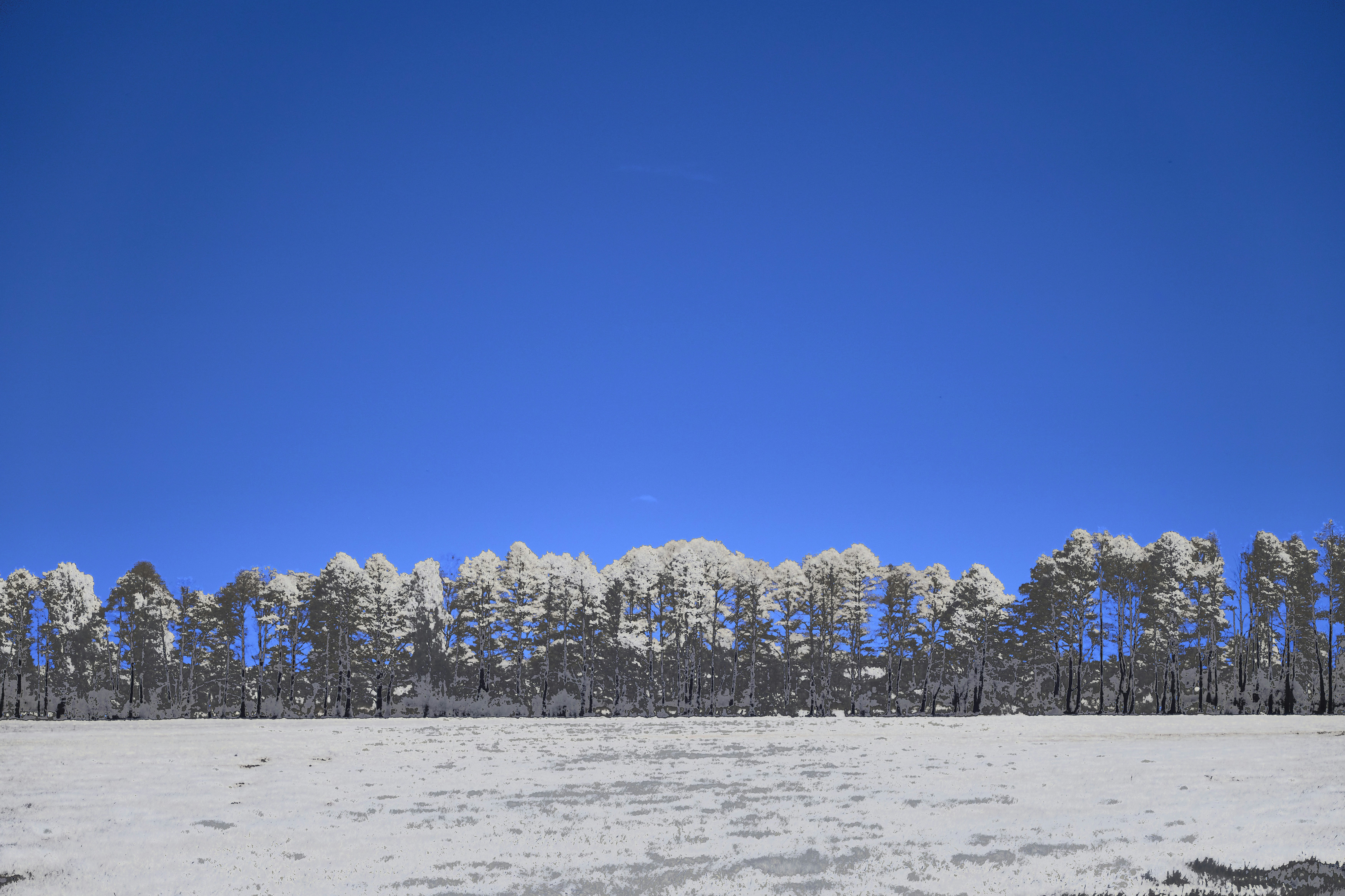 Photo by wolfgang_hasselmann