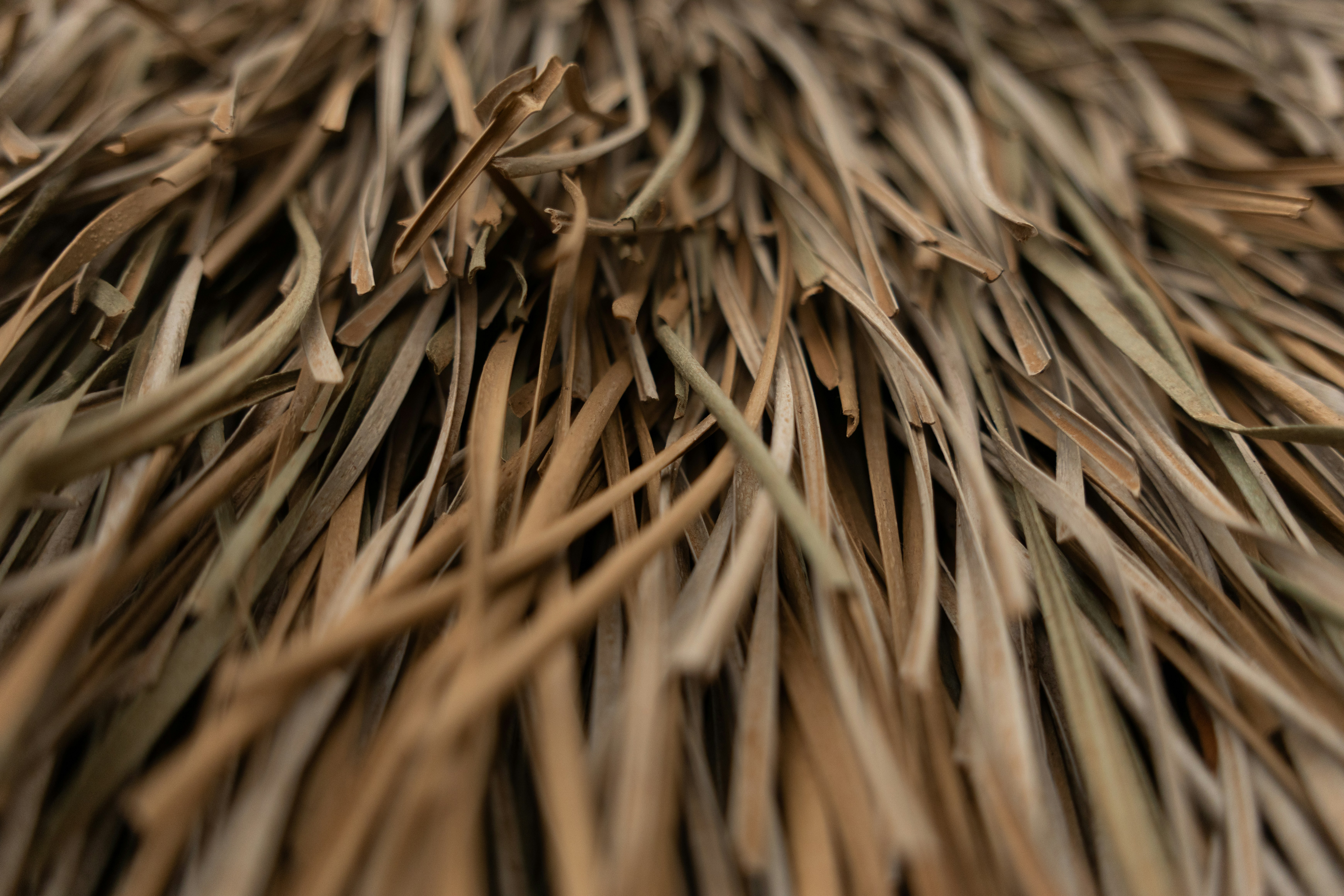 Photo by elkeburhenne