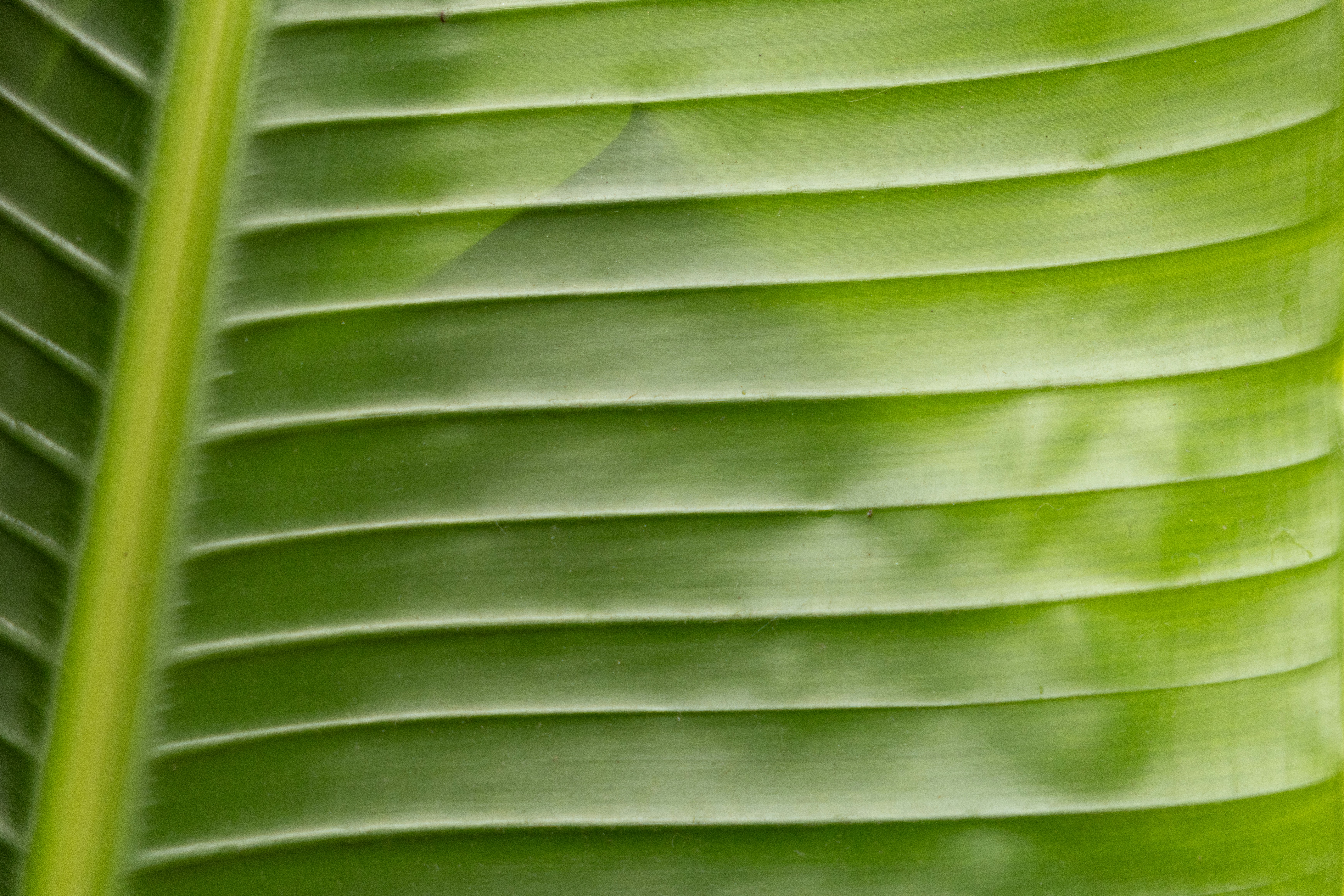 Photo by elkeburhenne