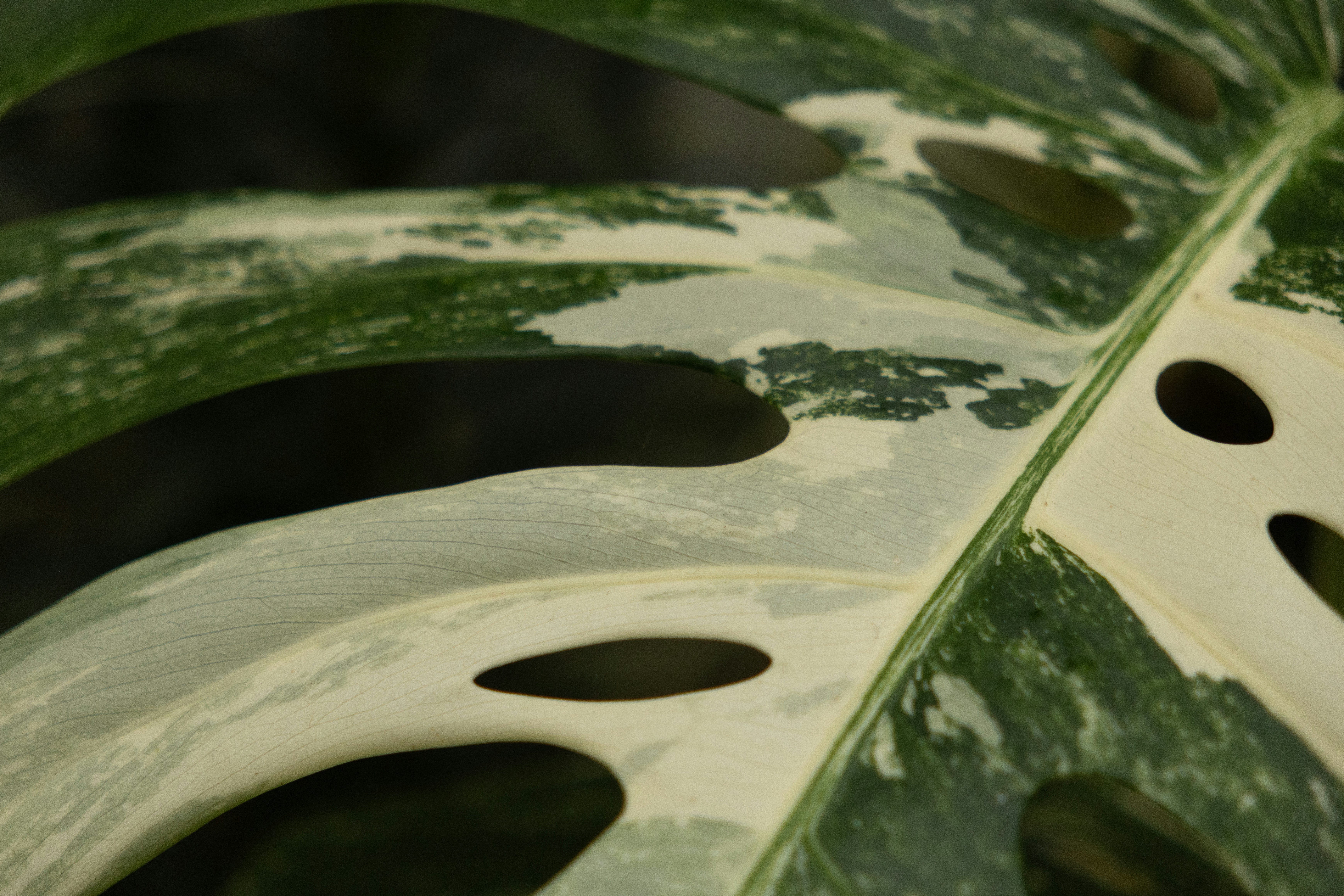 Photo by elkeburhenne