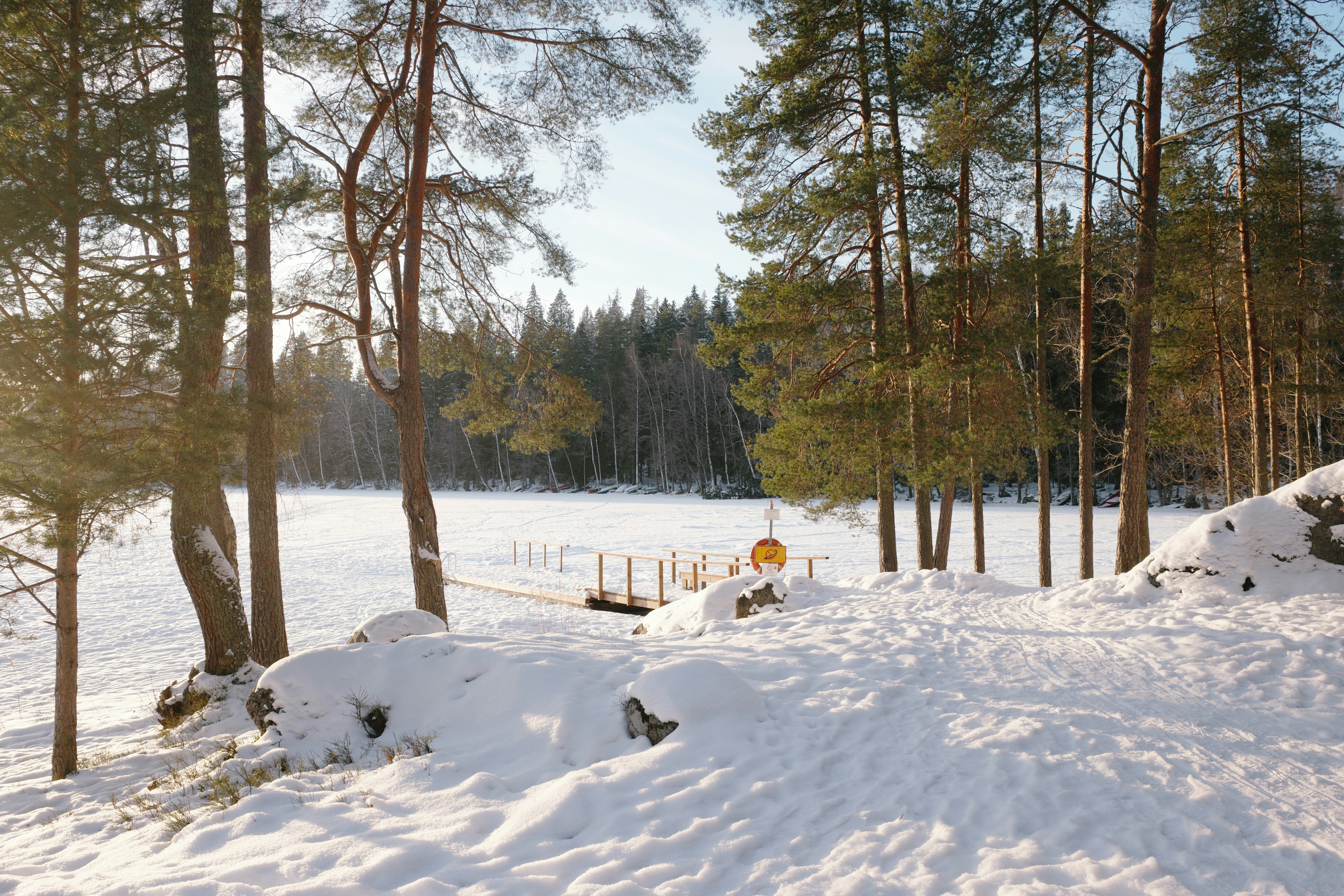 Paisaje nevado con árboles y un lago helado