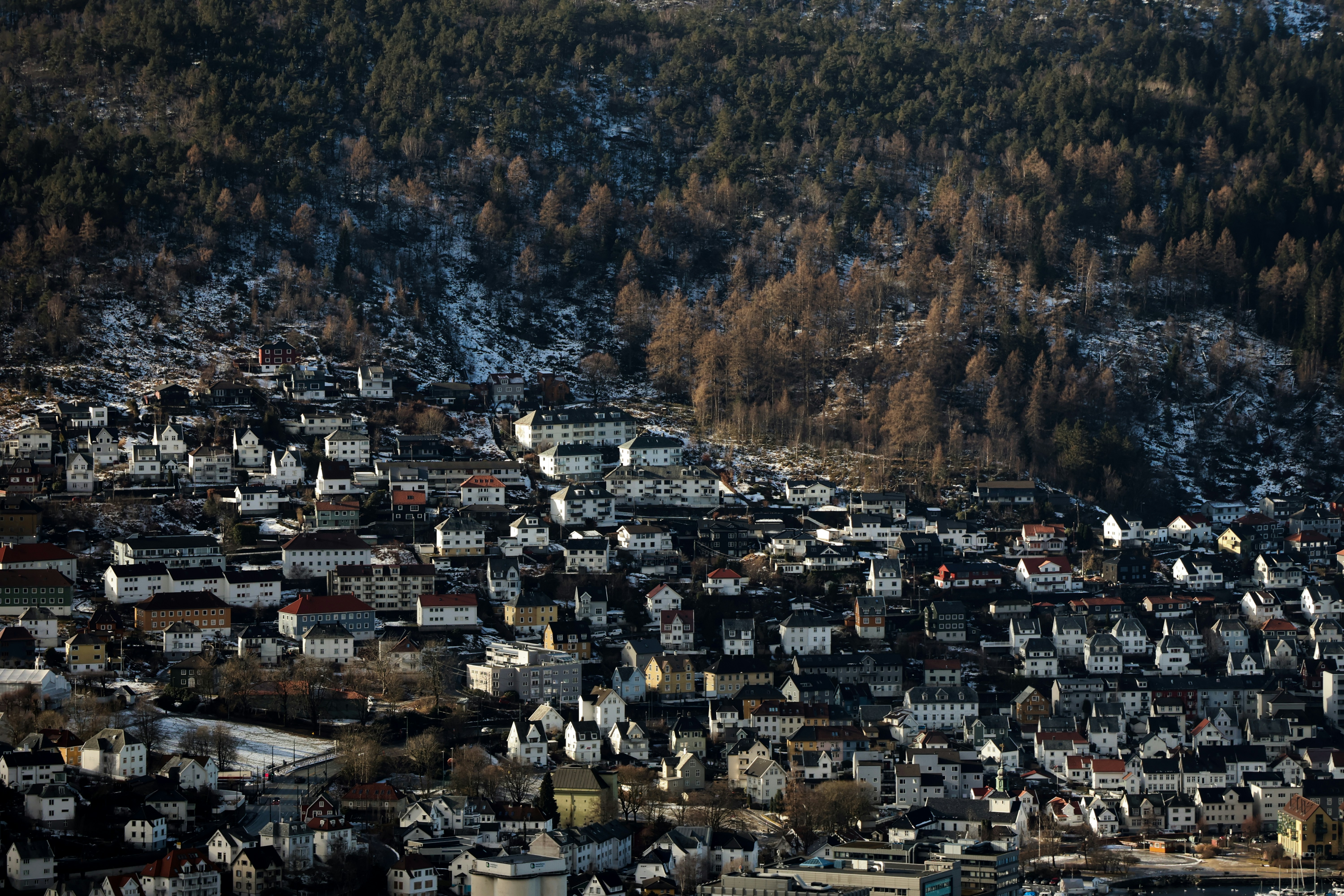 Un barrio residencial denso enclavado contra una ladera boscosa.