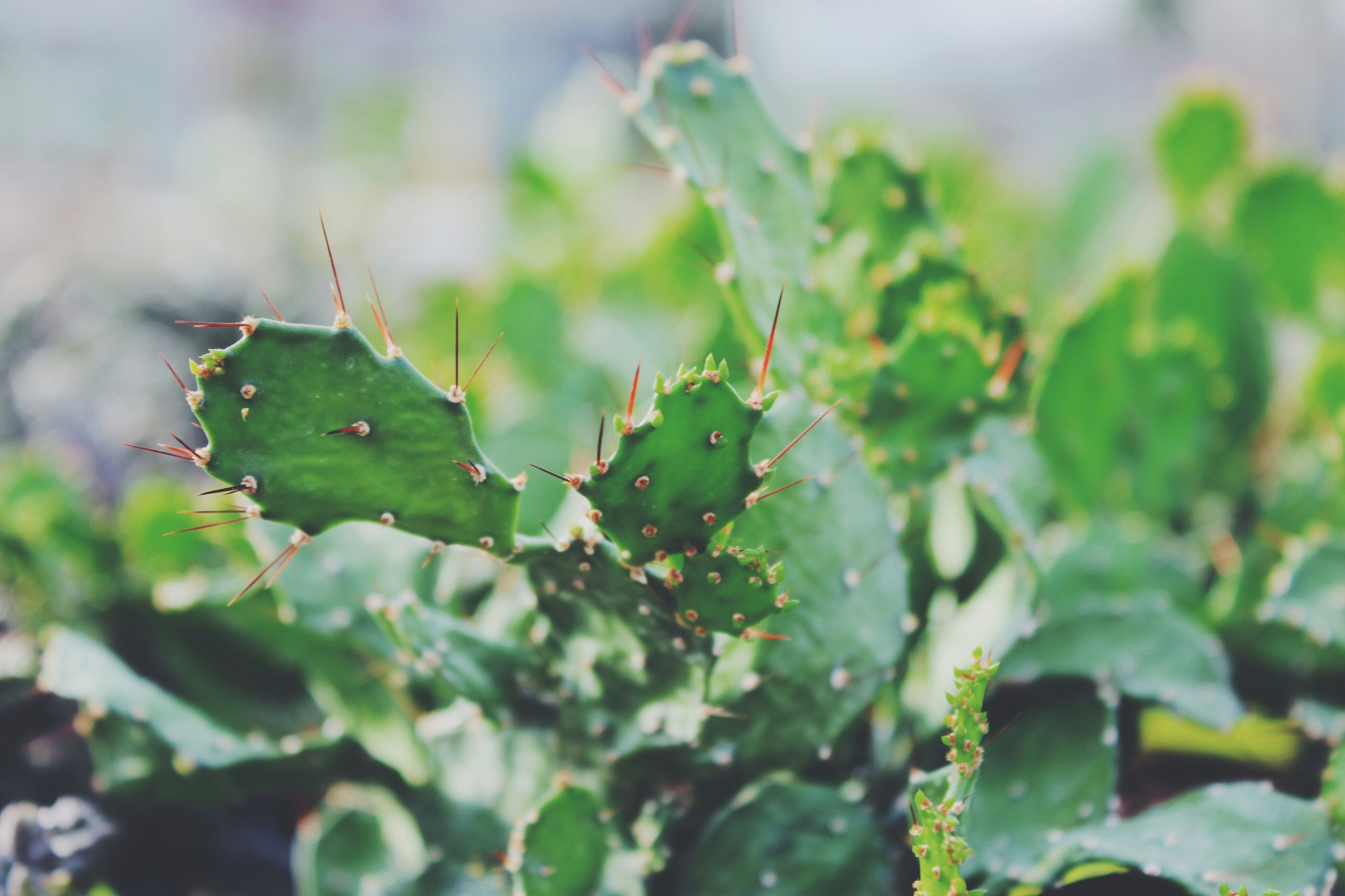 Photo by josocenmarti