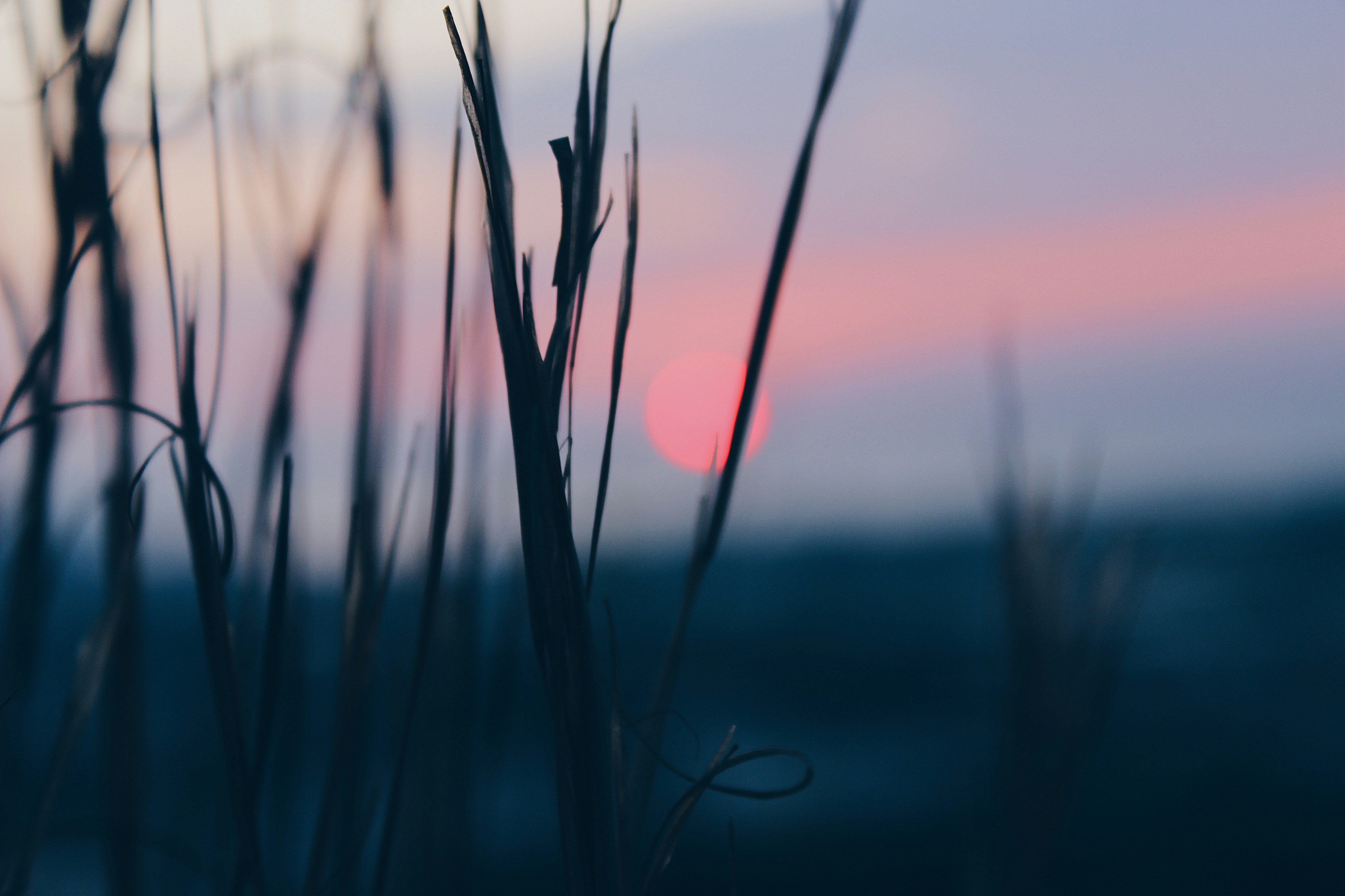 Photo by josocenmarti