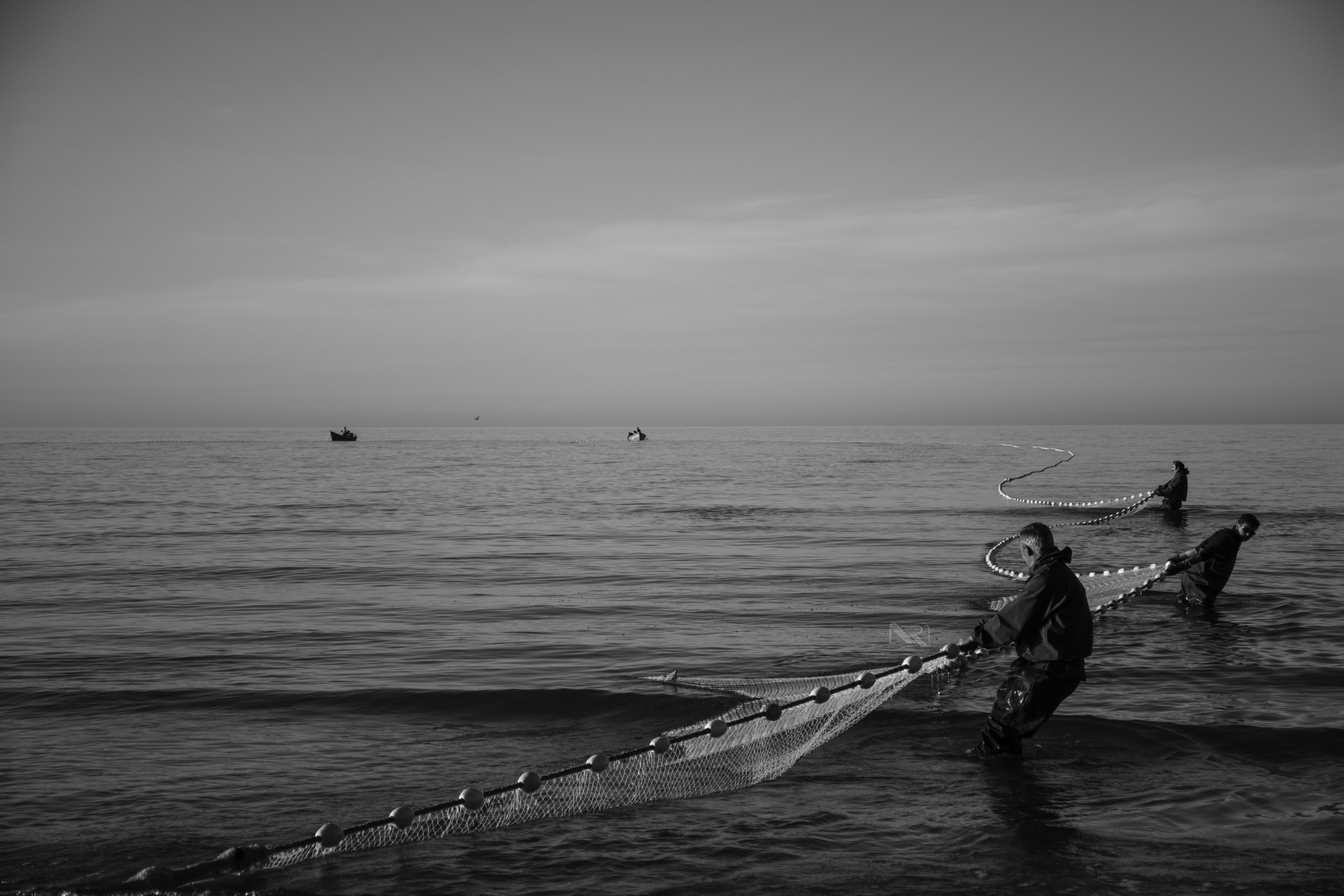 Photo by ahmdrzarzai