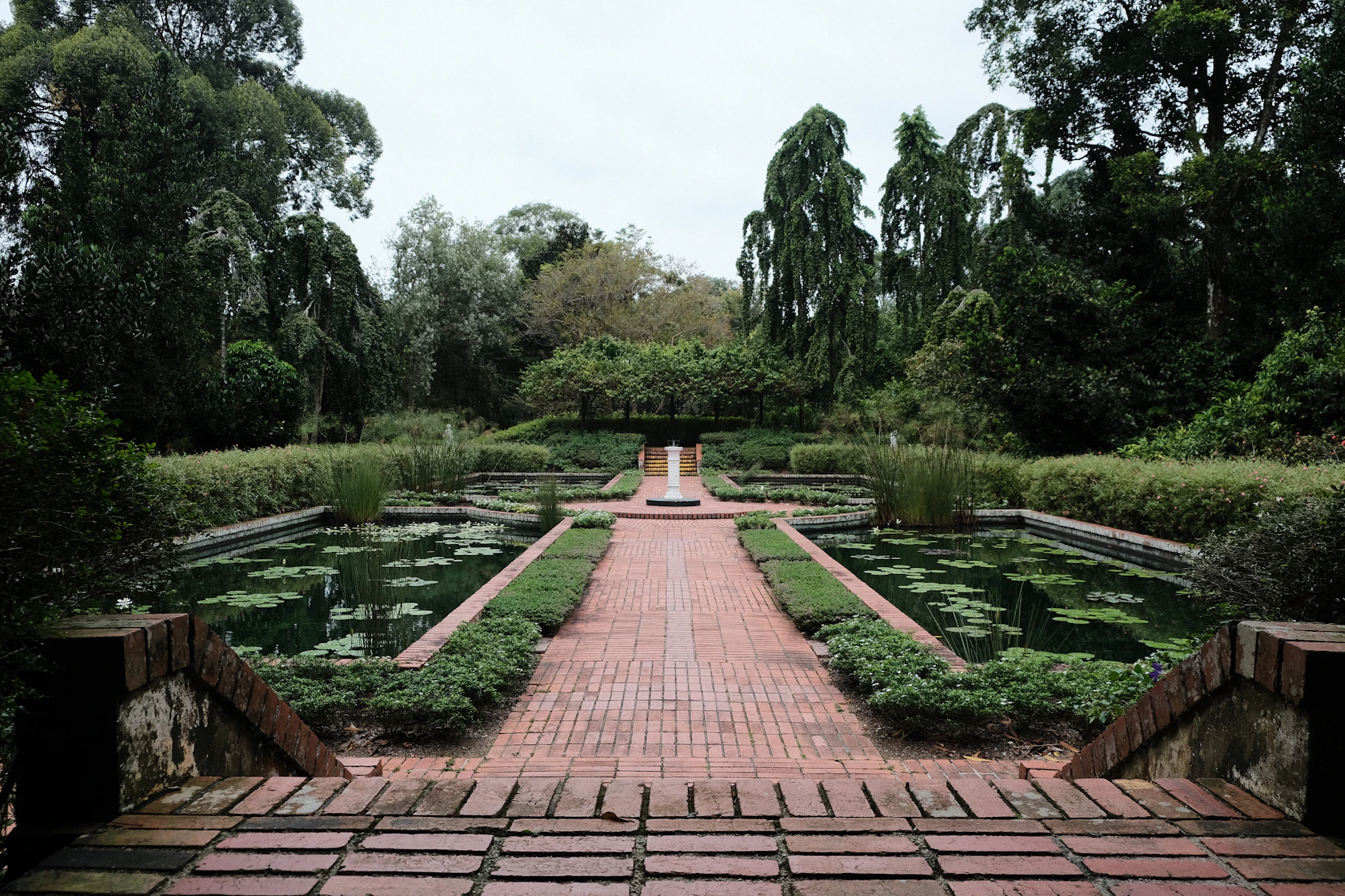 Lily ponds and landscaped paths in Singapore Botanic Gardens