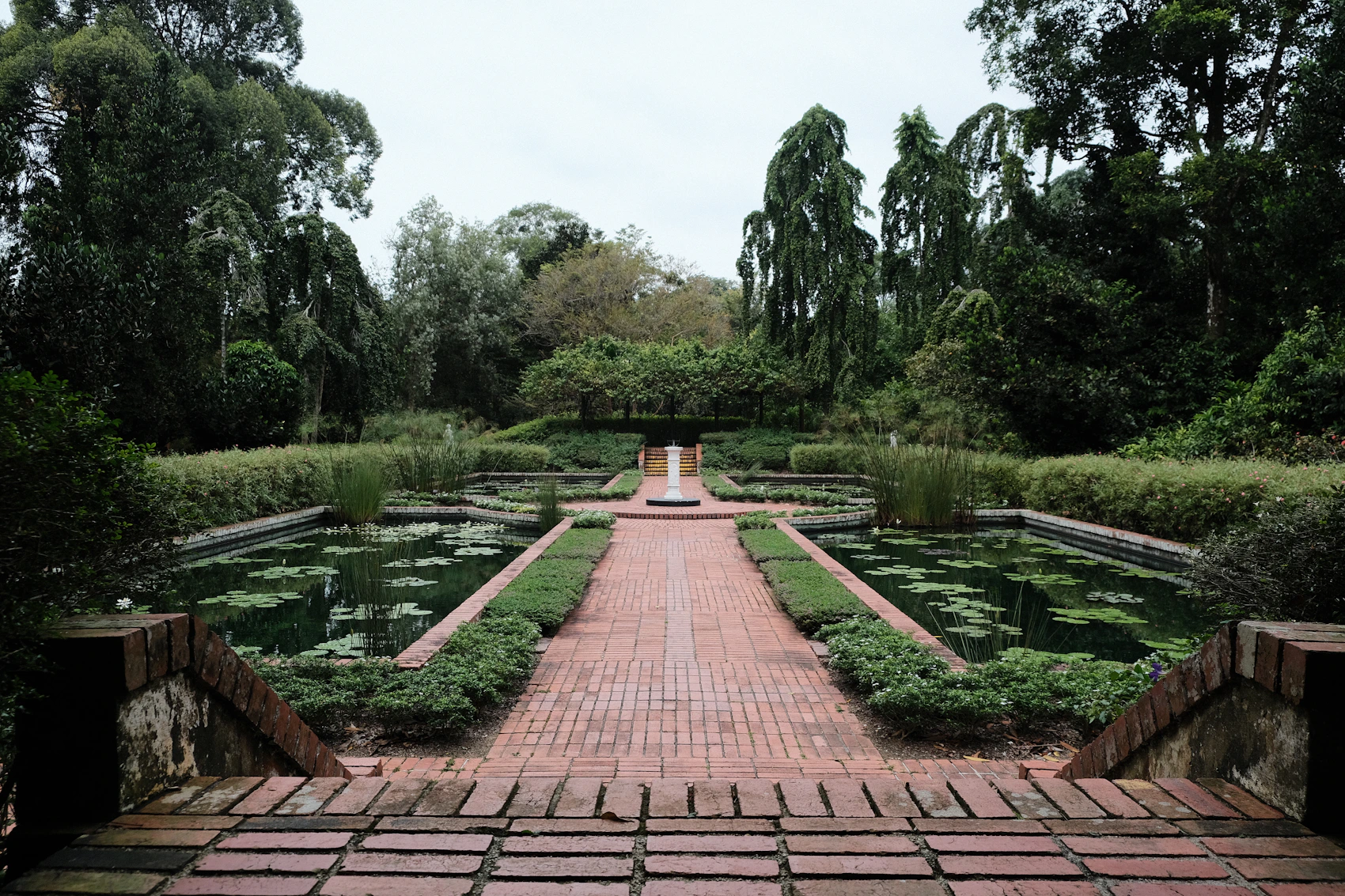 Lily ponds and tropical landscaping at Singapore Botanic Gardens