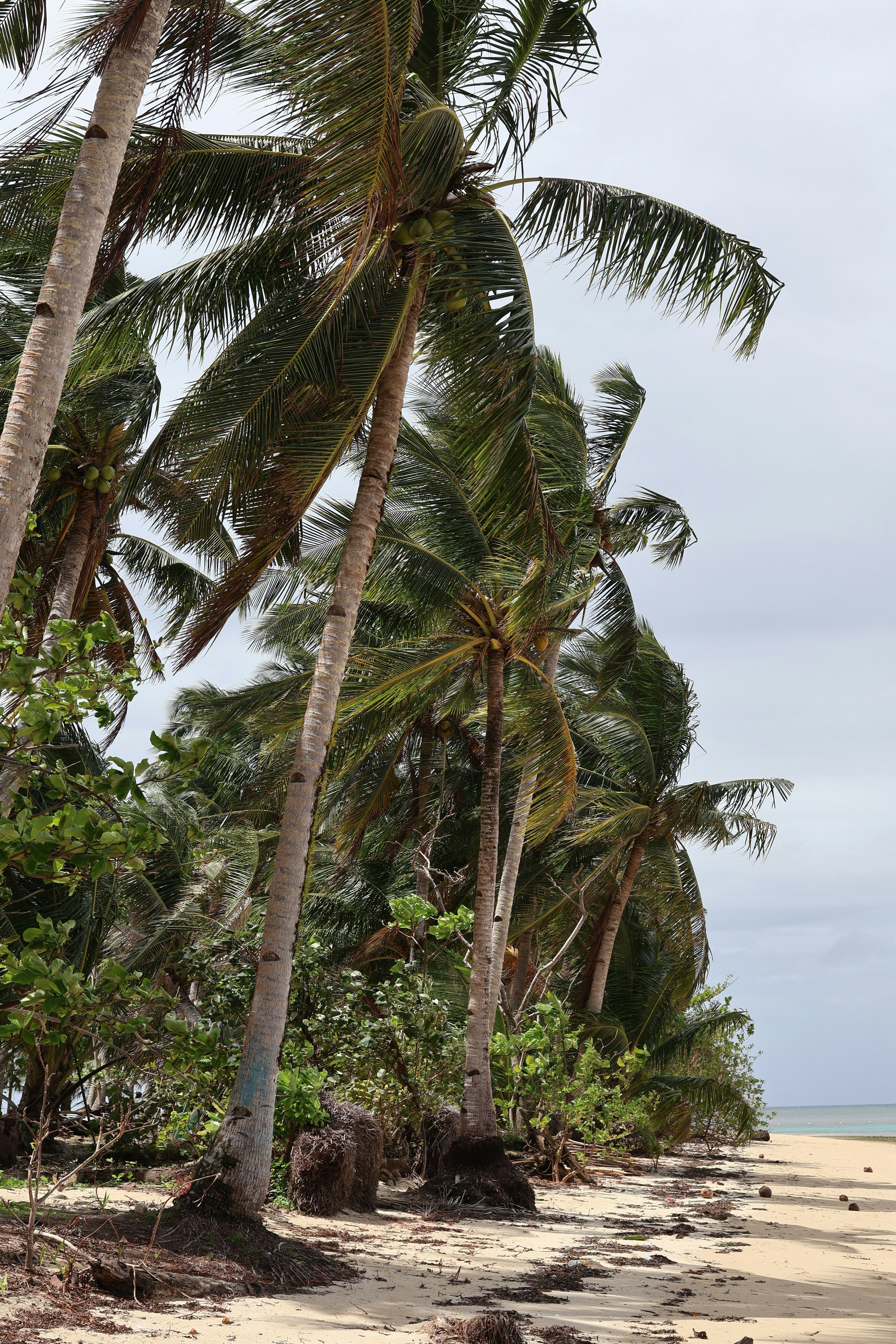 Photo by adrianpaulety