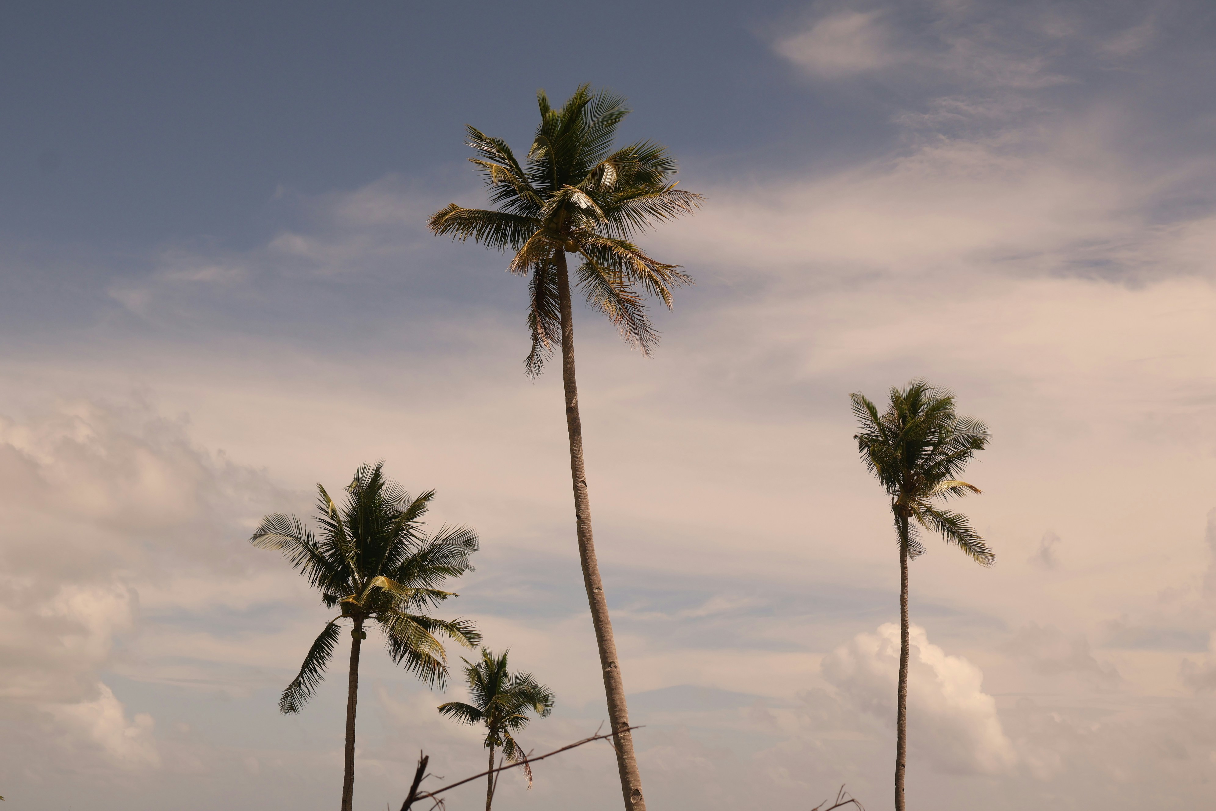 Photo by adrianpaulety