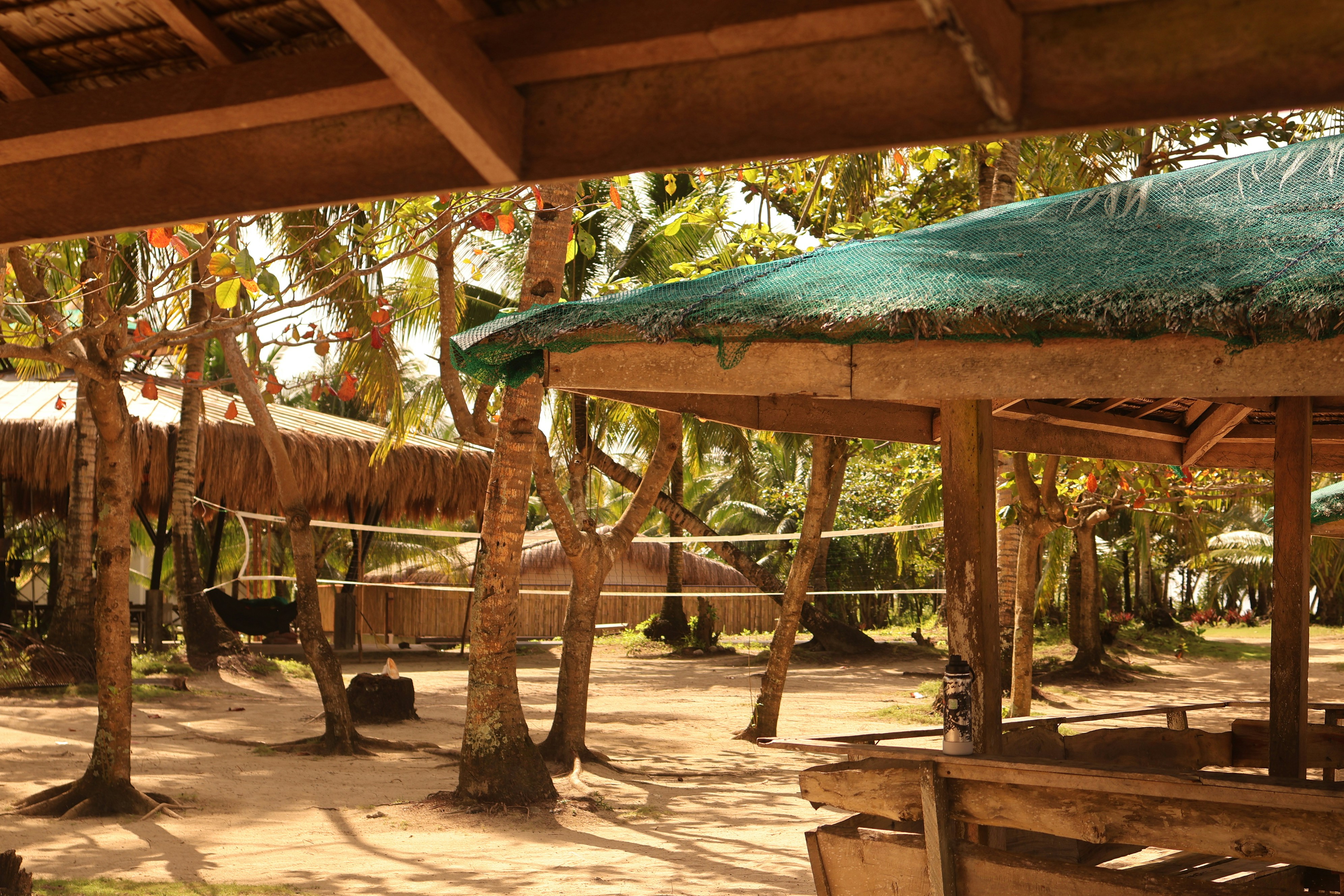 Photo by adrianpaulety