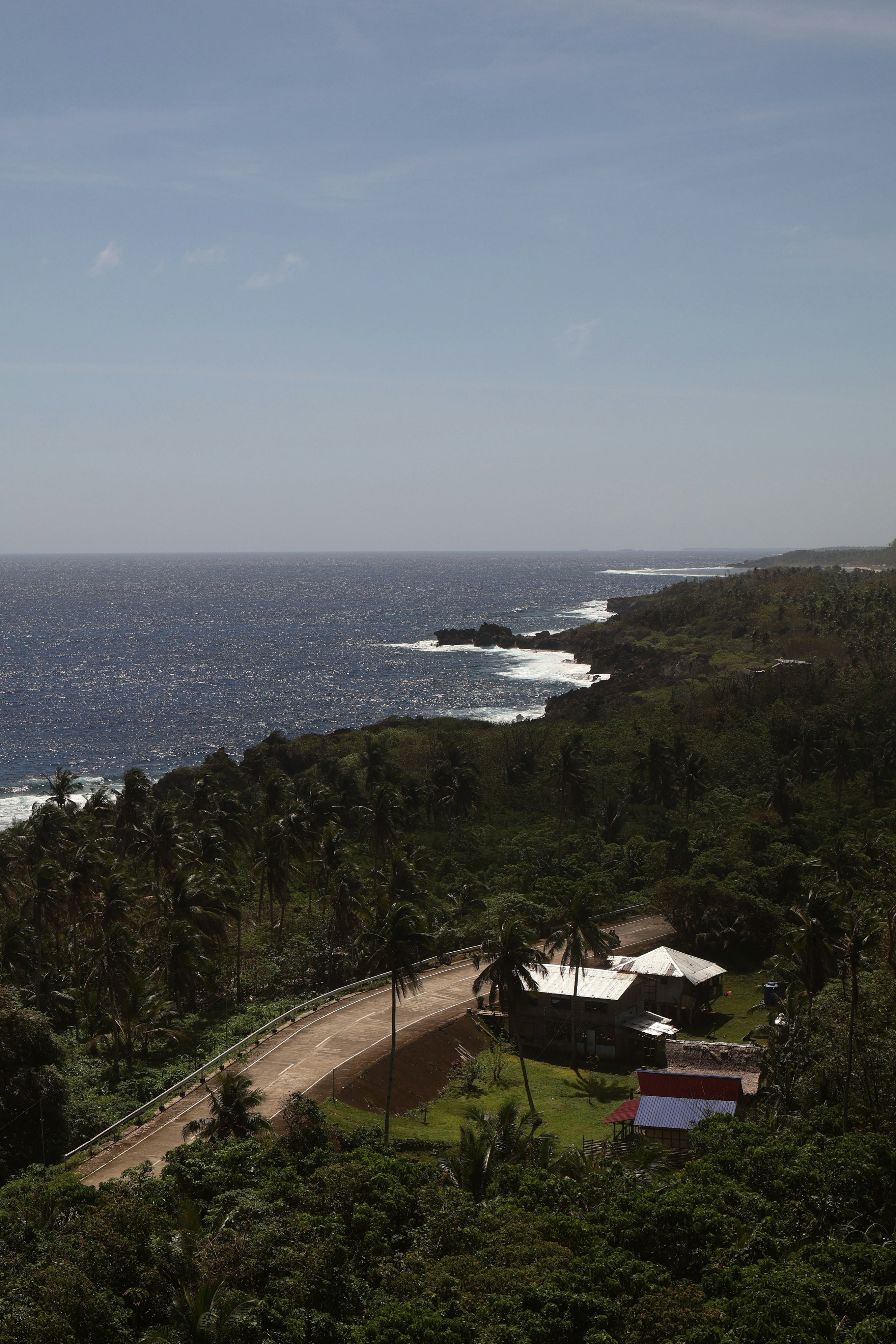 Coastal road winds through lush tropical foliage near ocean.