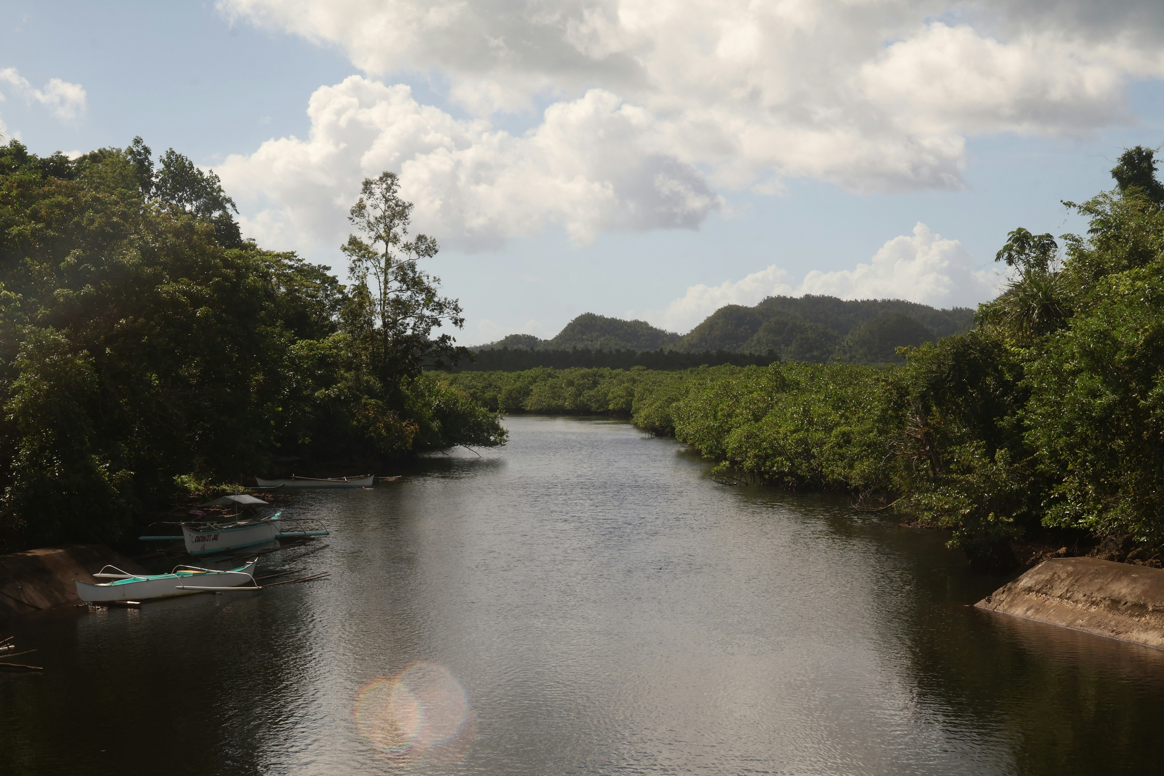 A tranquil river flows through a lush, tropical forest.