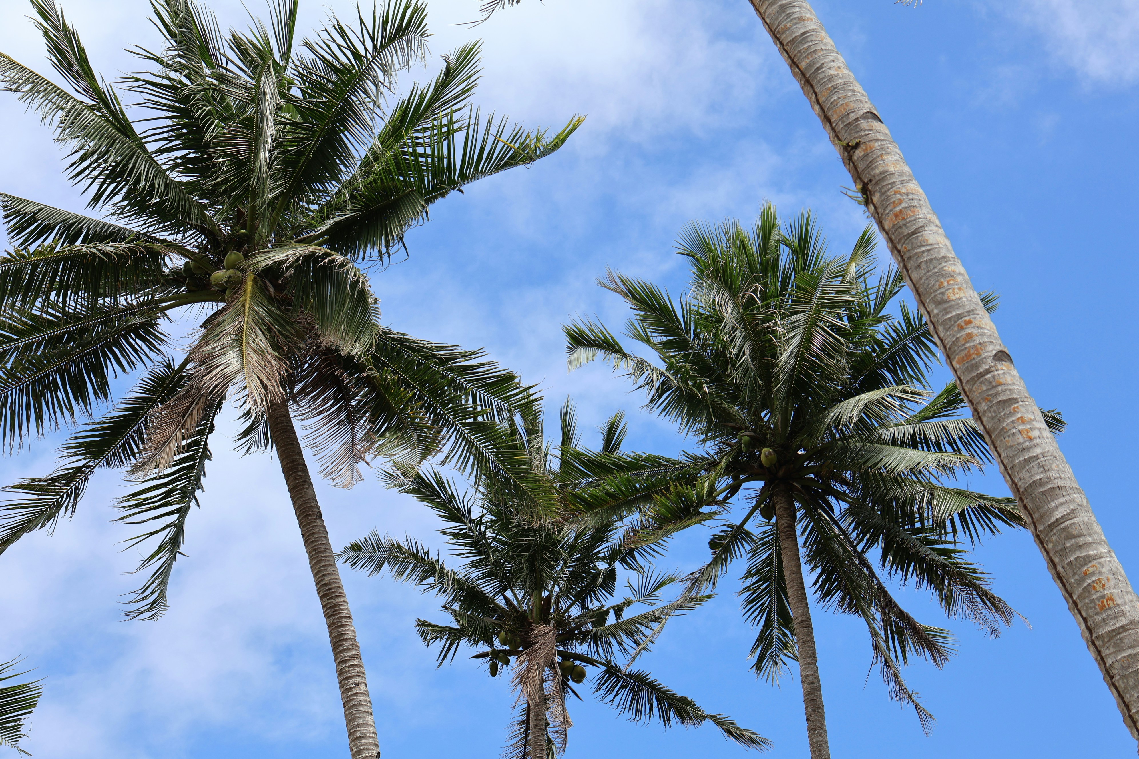 Photo by adrianpaulety