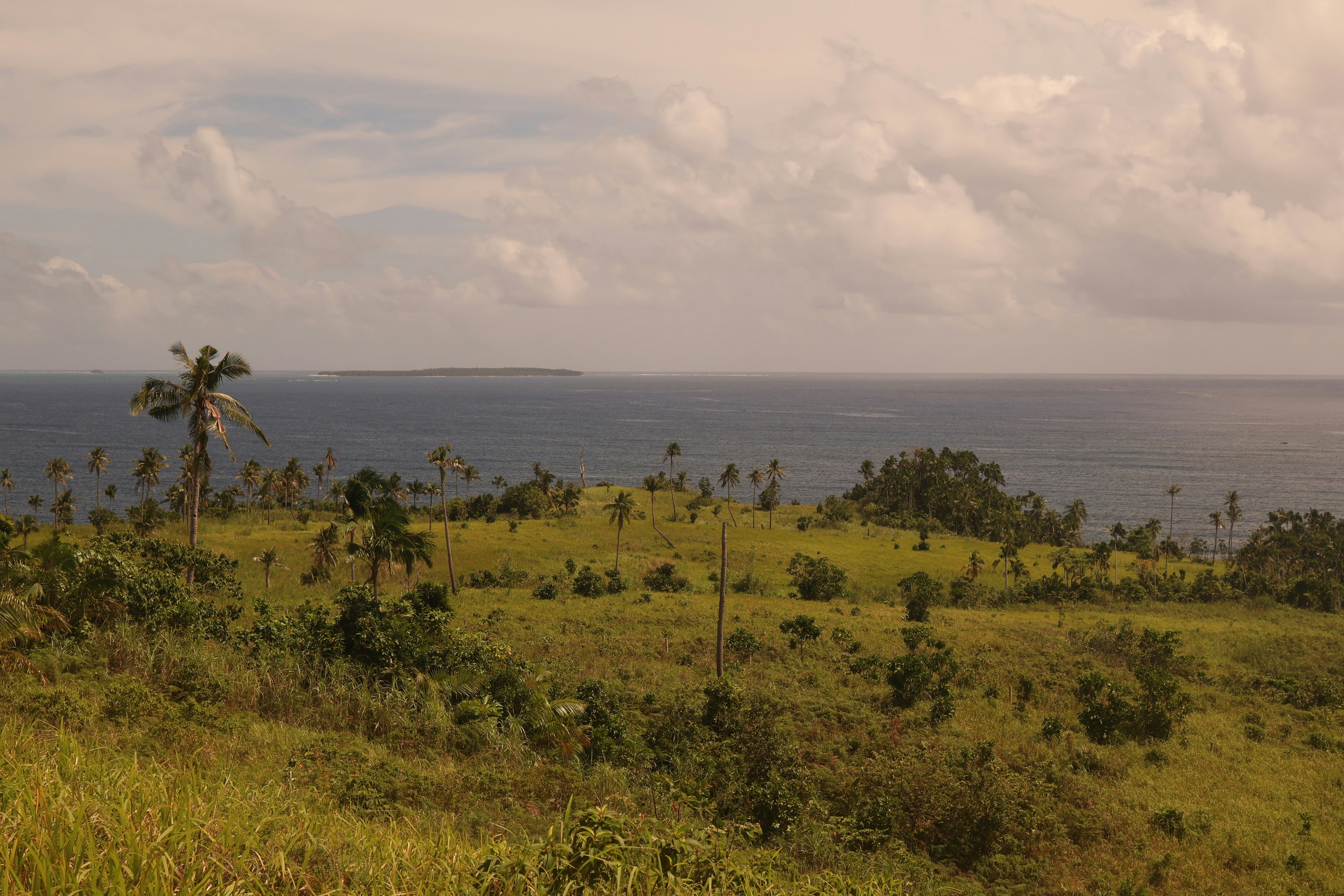 Rolling green hills meet the blue ocean under cloudy sky