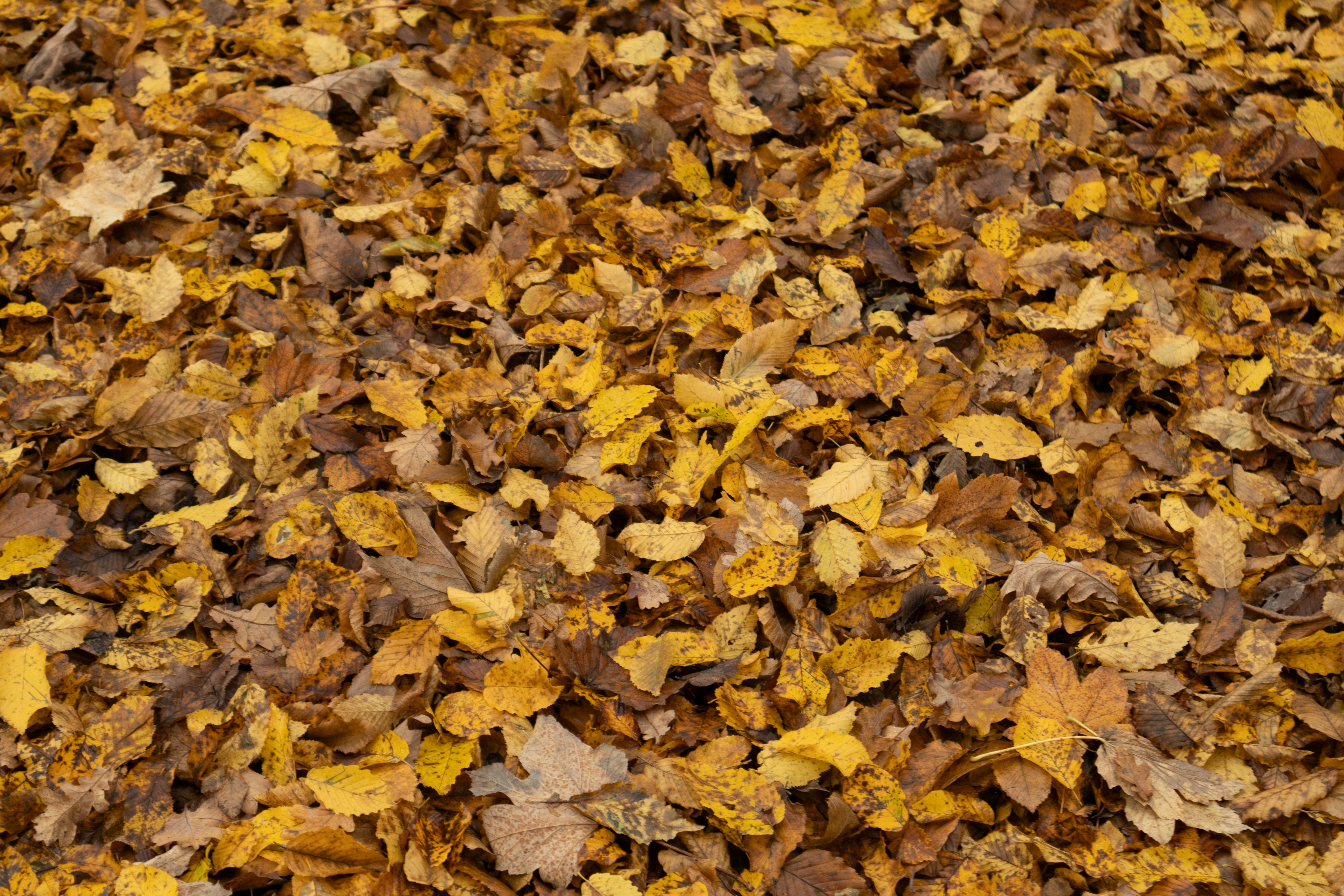 Photo by amandine_bataille_photo