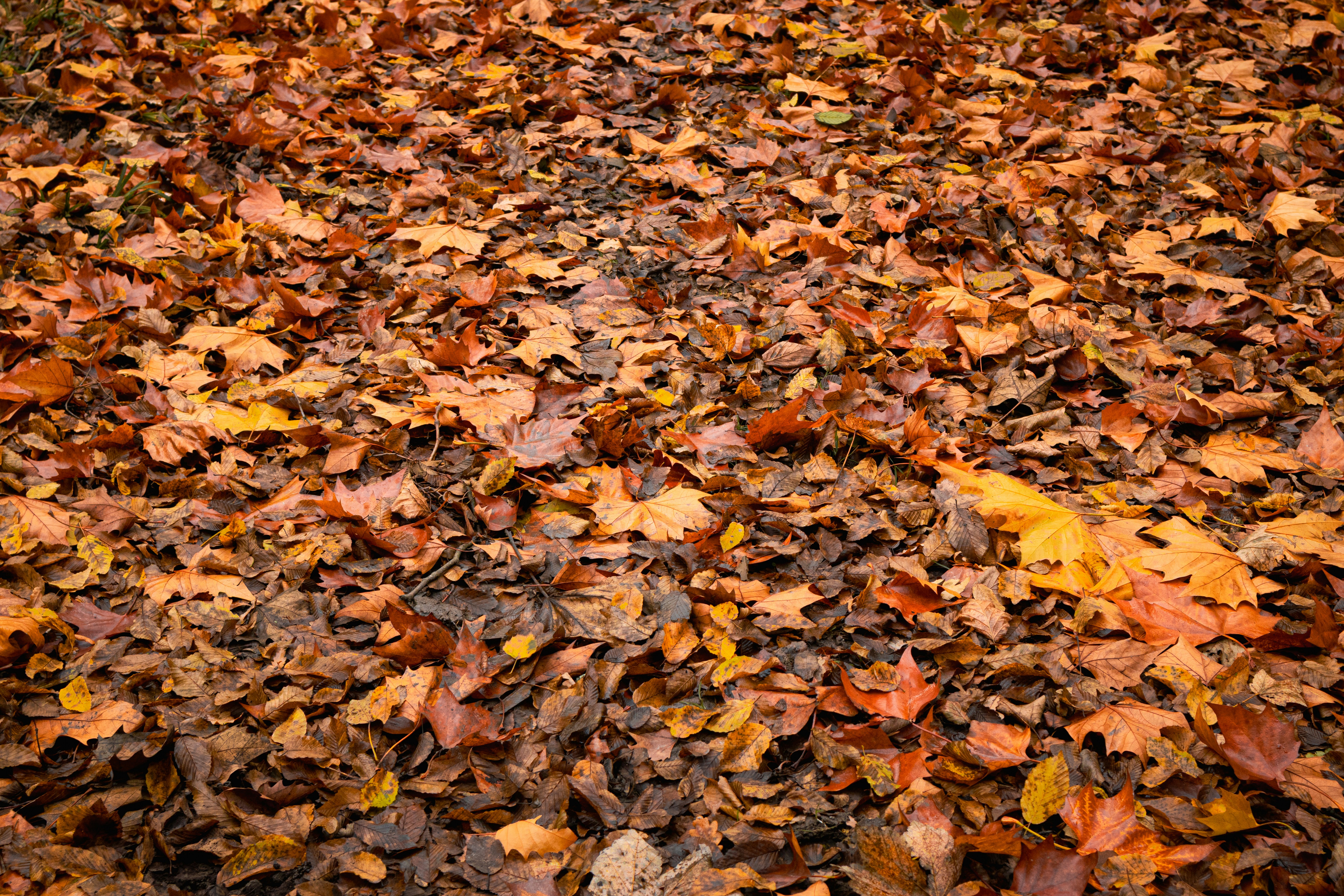 Photo by amandine_bataille_photo