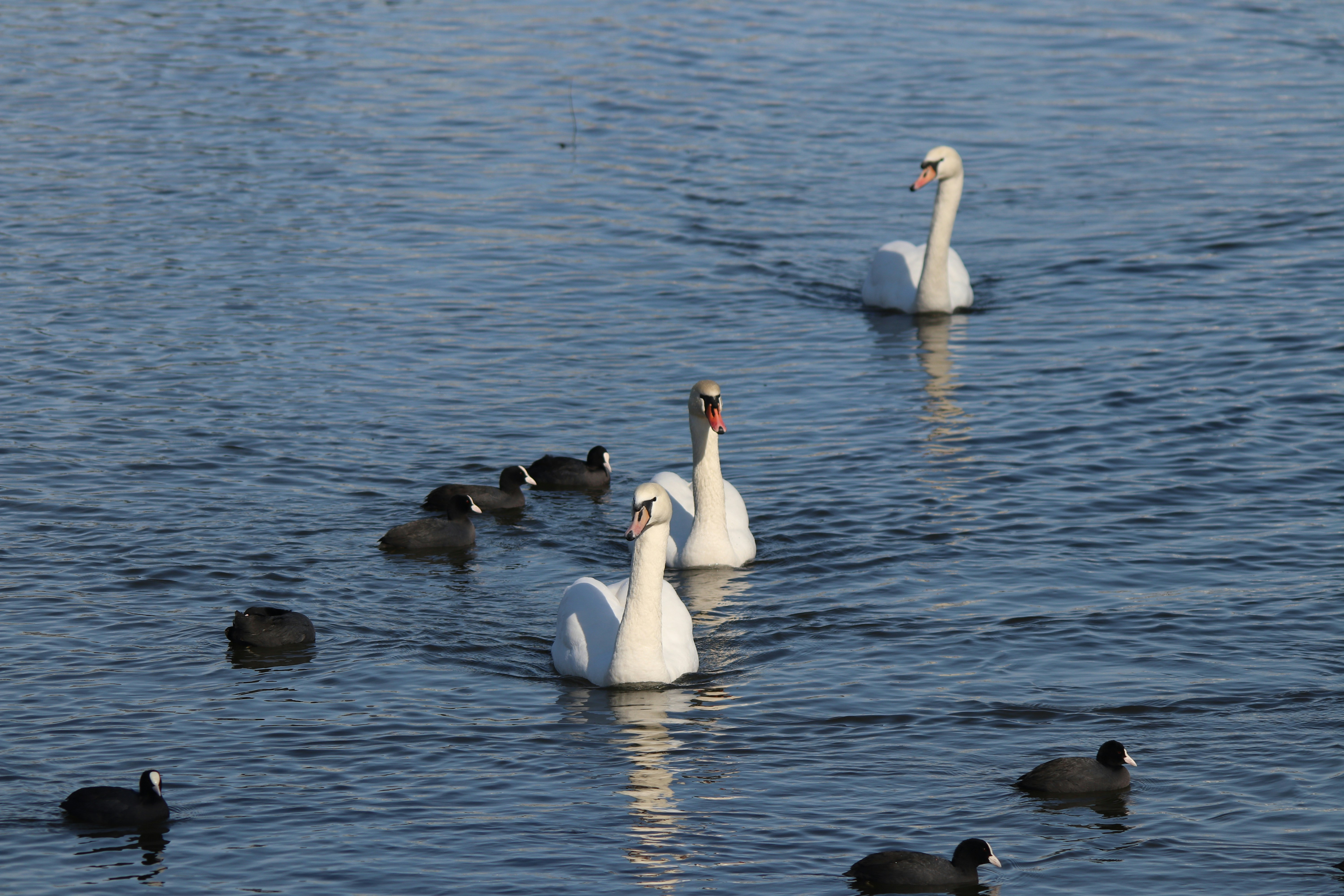 Photo by fotografialuivlad