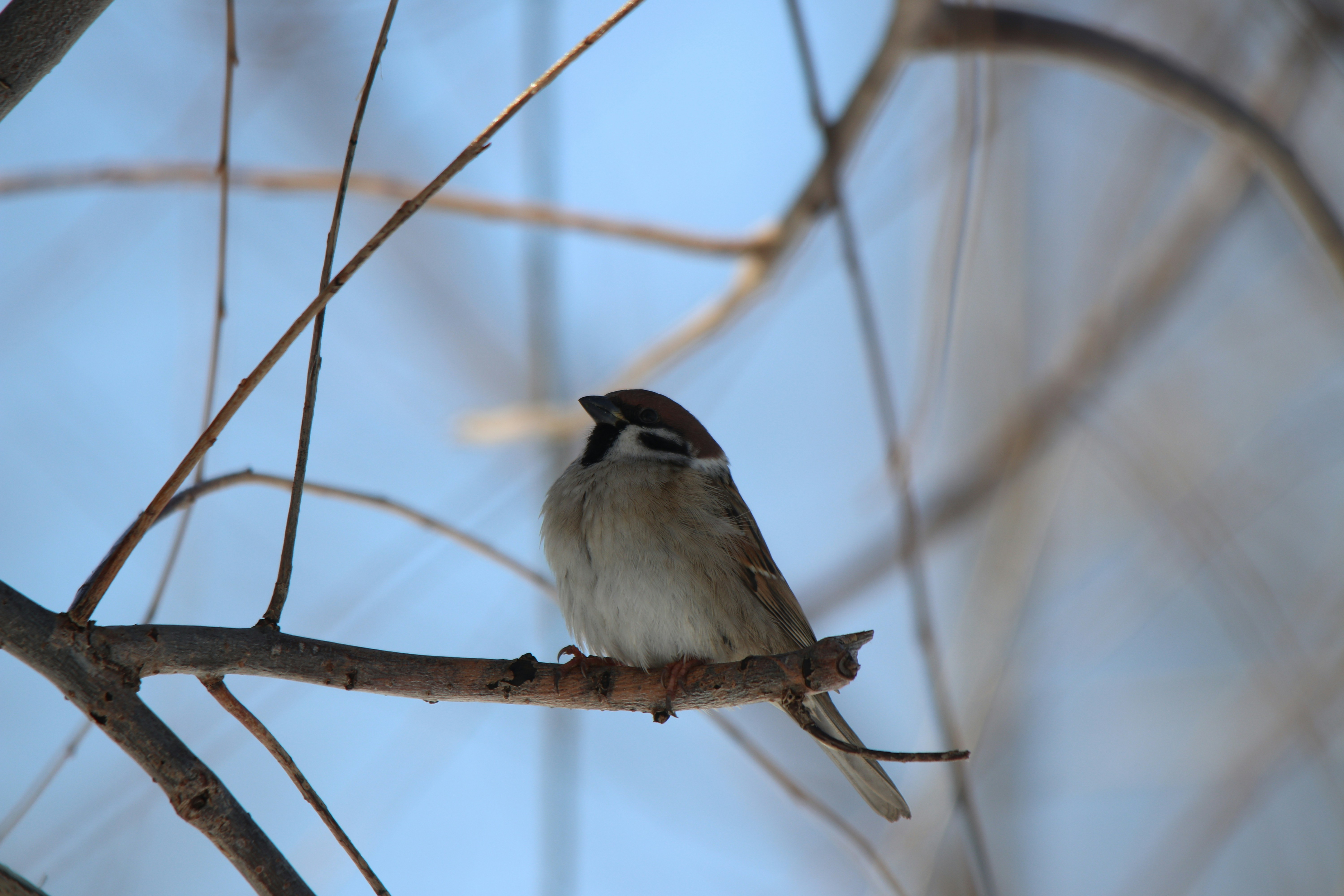 Photo by fotografialuivlad